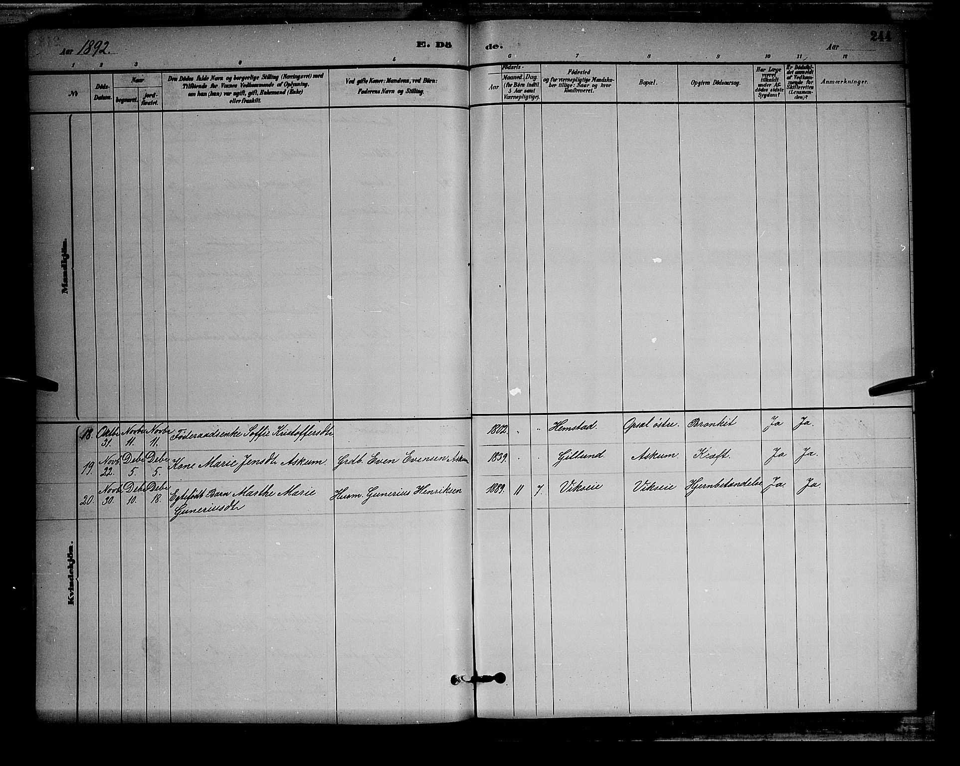 Stange prestekontor, AV/SAH-PREST-002/L/L0008: Parish register (copy) no. 8, 1882-1895, p. 244