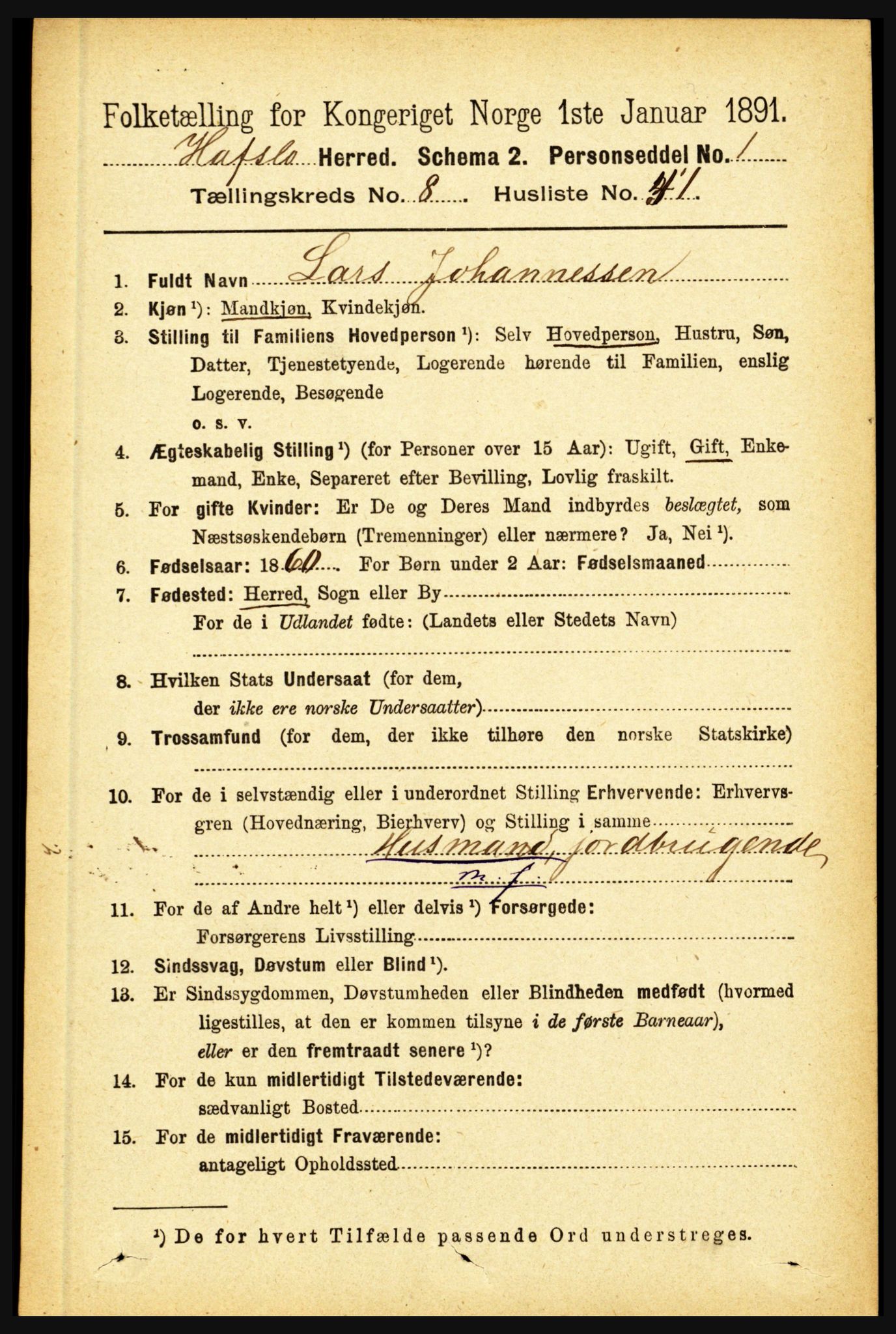 RA, 1891 census for 1425 Hafslo, 1891, p. 3391