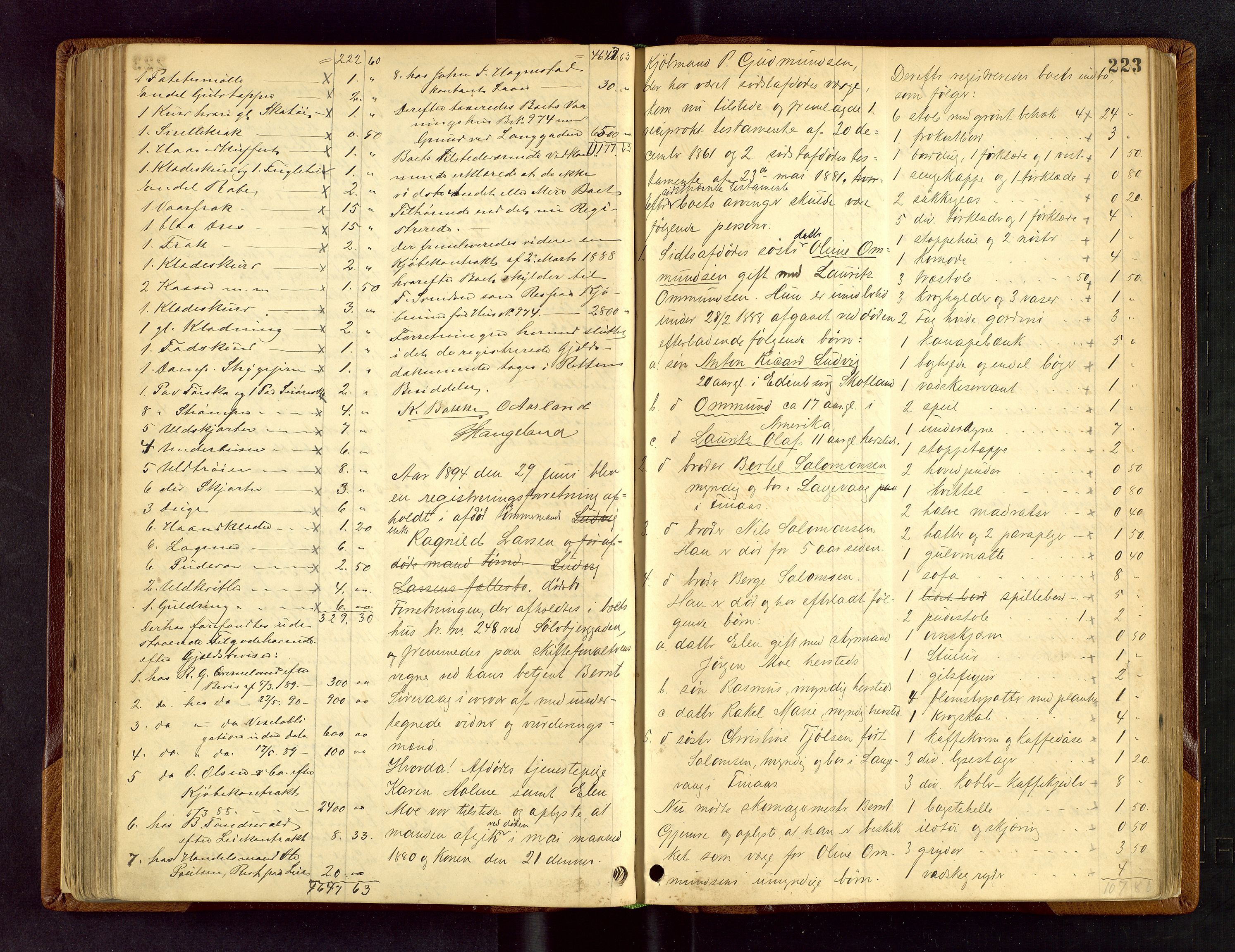 Stavanger skifteforvalter, AV/SAST-A-101412/001/5/53/533BA/L0001: Registreringsprotokoll, 1882-1902, p. 223