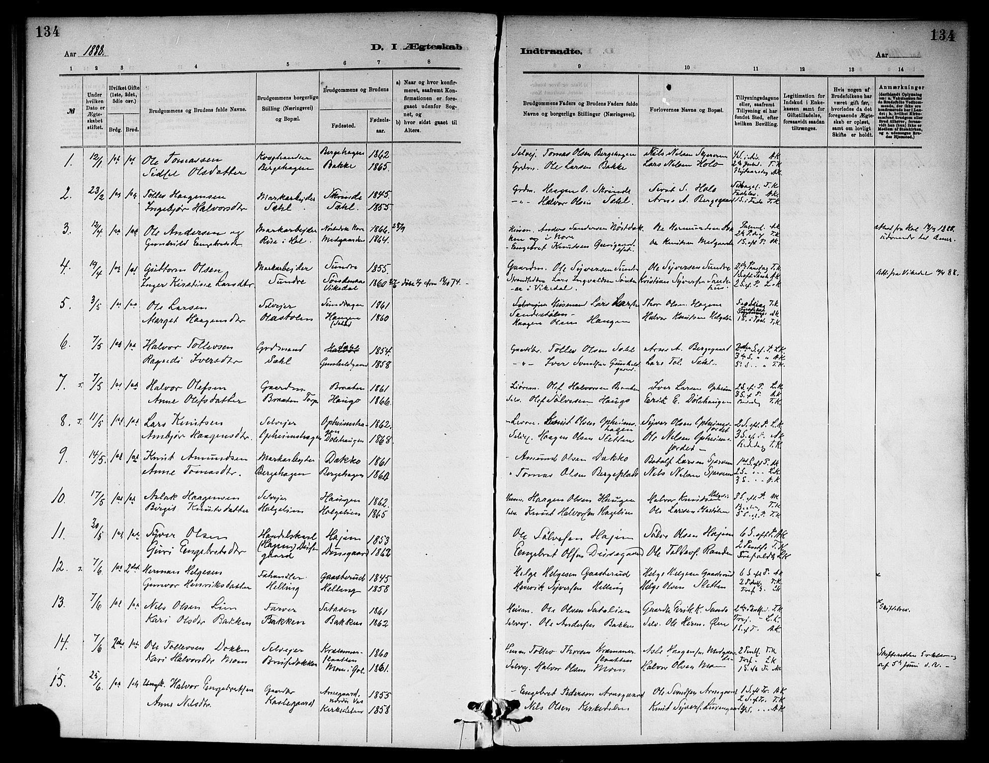 Ål kirkebøker, SAKO/A-249/F/Fa/L0008: Parish register (official) no. I 8, 1882-1896, p. 134