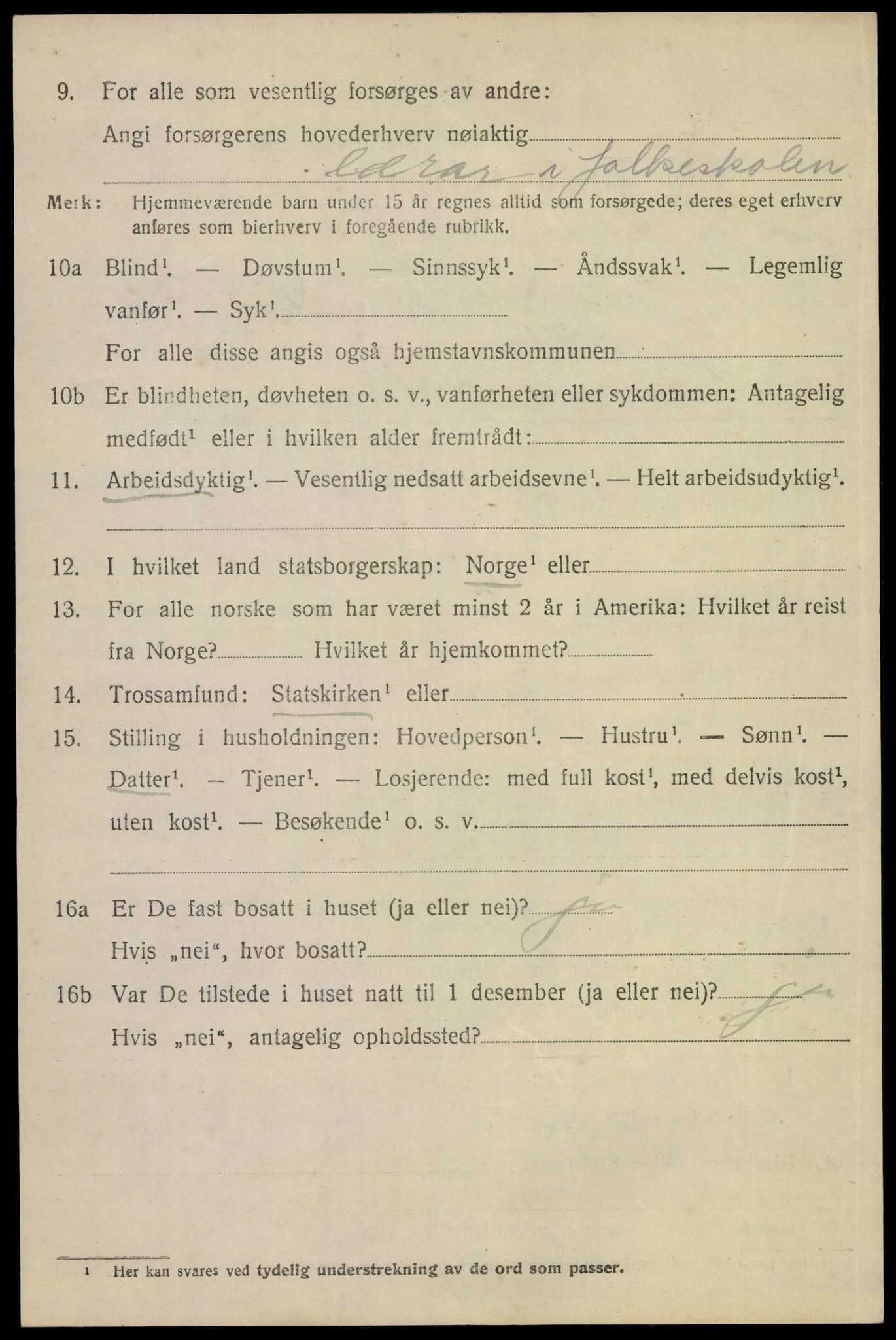 SAKO, 1920 census for Tinn, 1920, p. 6343