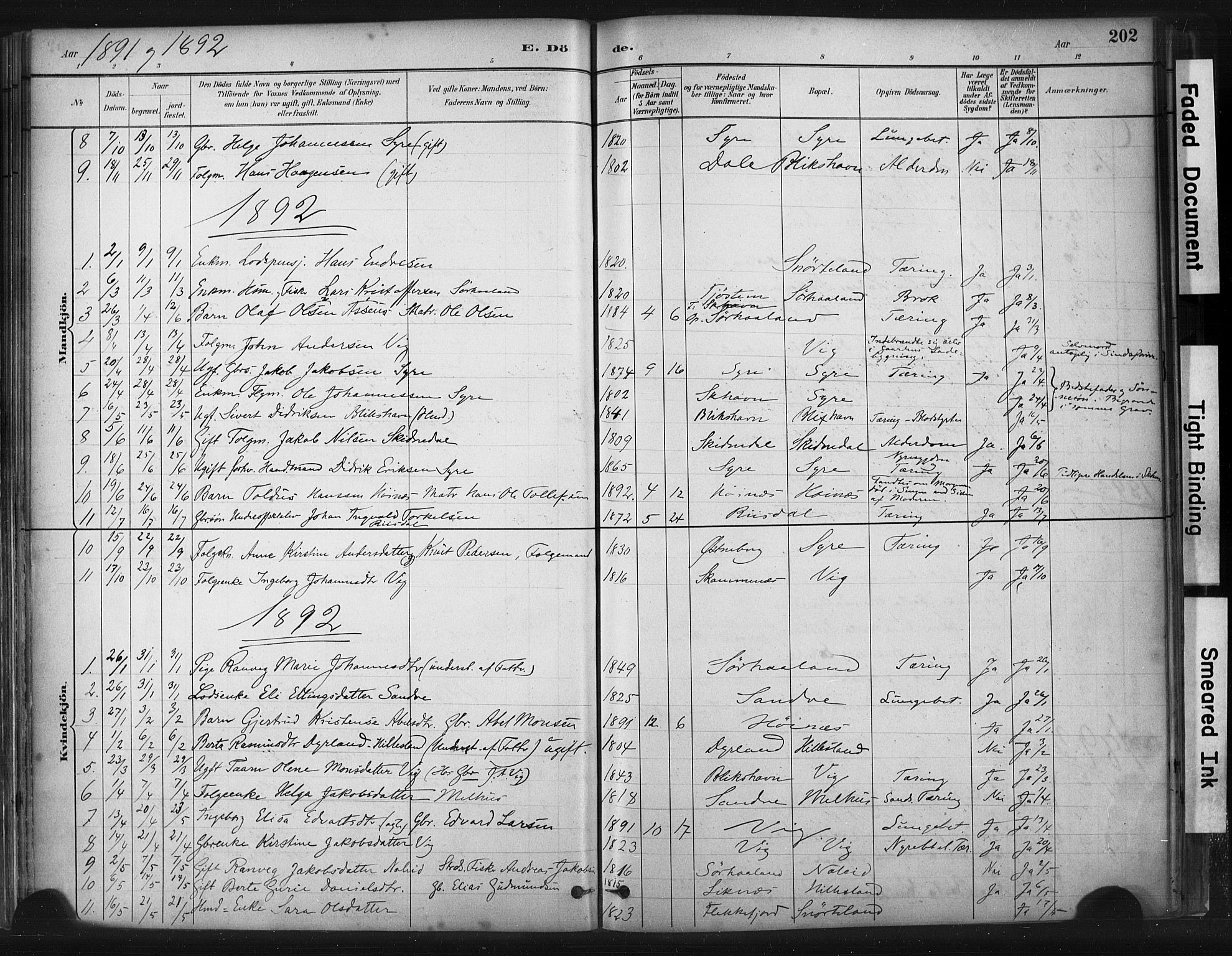 Skudenes sokneprestkontor, SAST/A -101849/H/Ha/Haa/L0009: Parish register (official) no. A 6, 1882-1912, p. 202