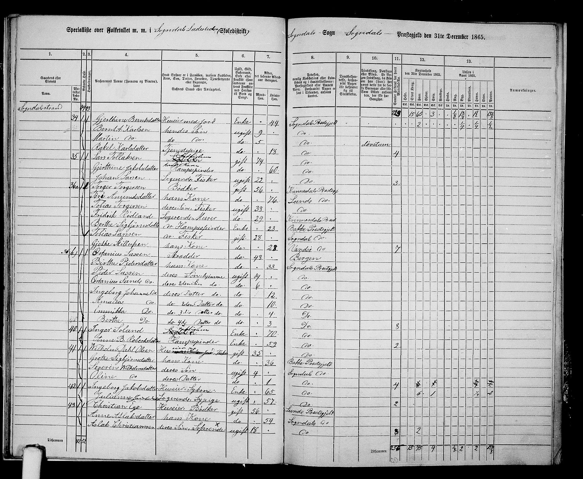 RA, 1865 census for Sokndal, 1865, p. 146