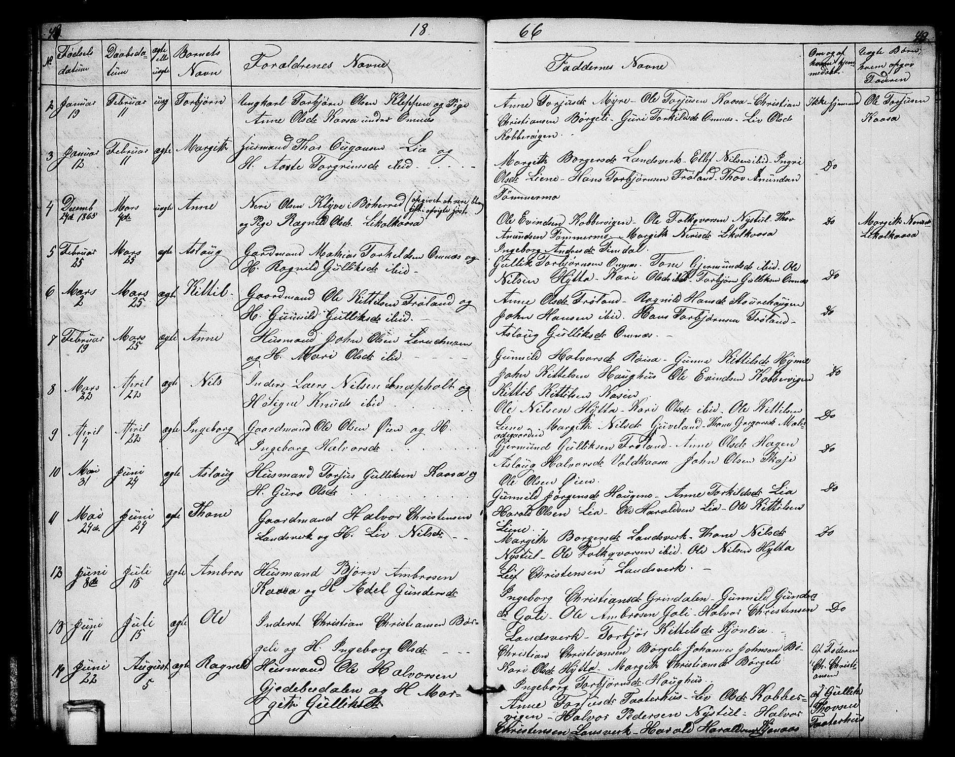 Hjartdal kirkebøker, SAKO/A-270/G/Gb/L0002: Parish register (copy) no. II 2, 1854-1884, p. 48-49