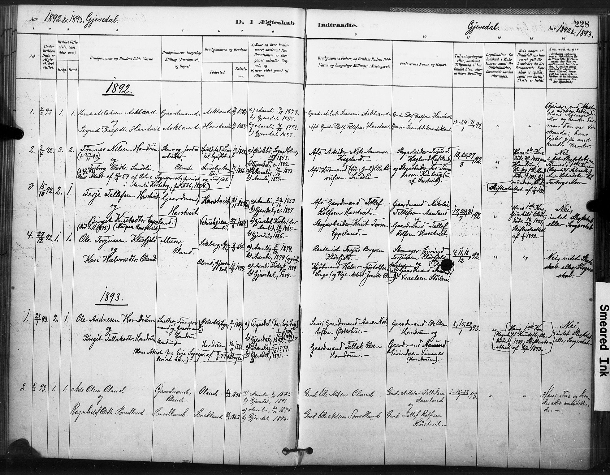 Åmli sokneprestkontor, SAK/1111-0050/F/Fa/Fac/L0010: Parish register (official) no. A 10 /2, 1885-1899, p. 228