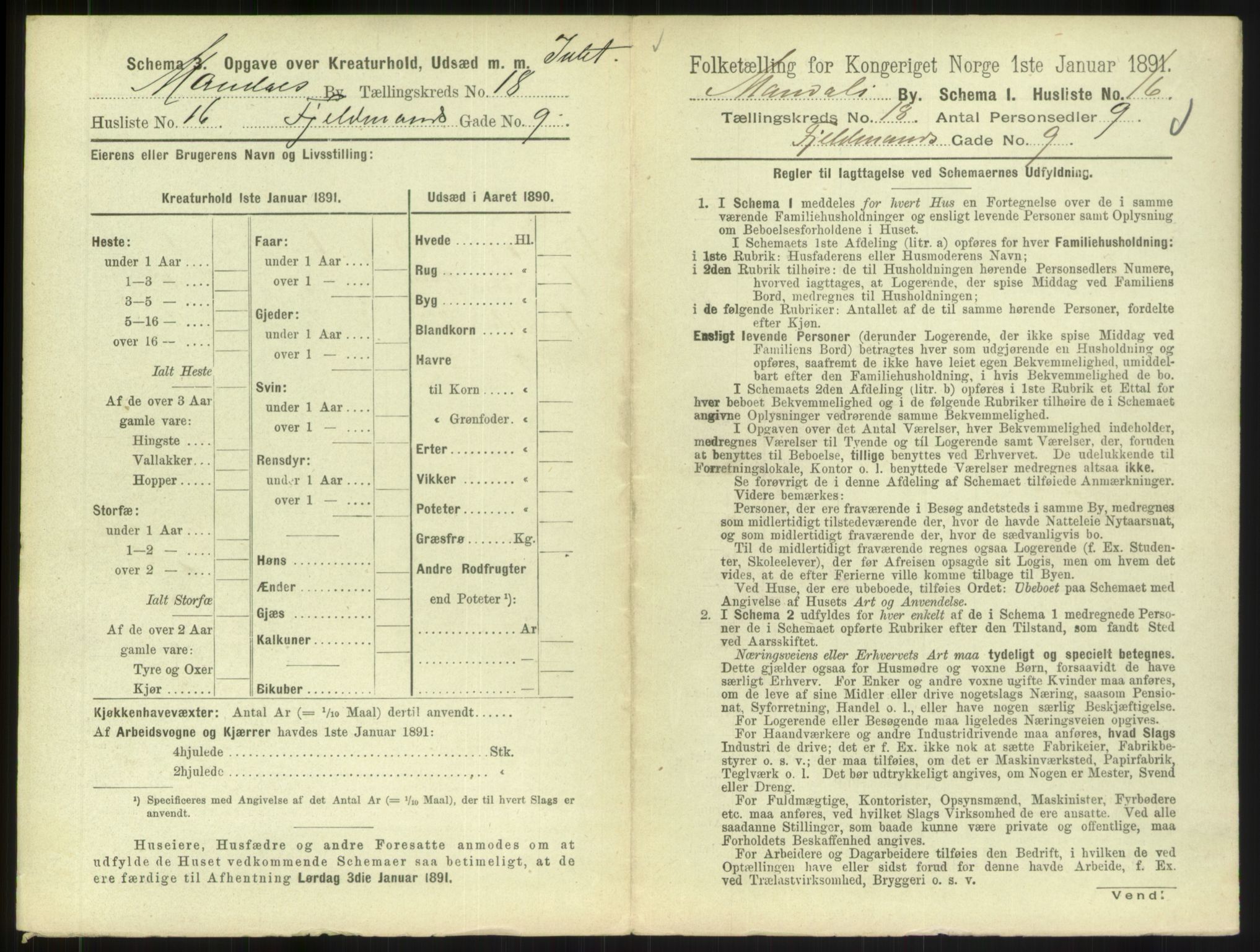 RA, 1891 census for 1002 Mandal, 1891, p. 847