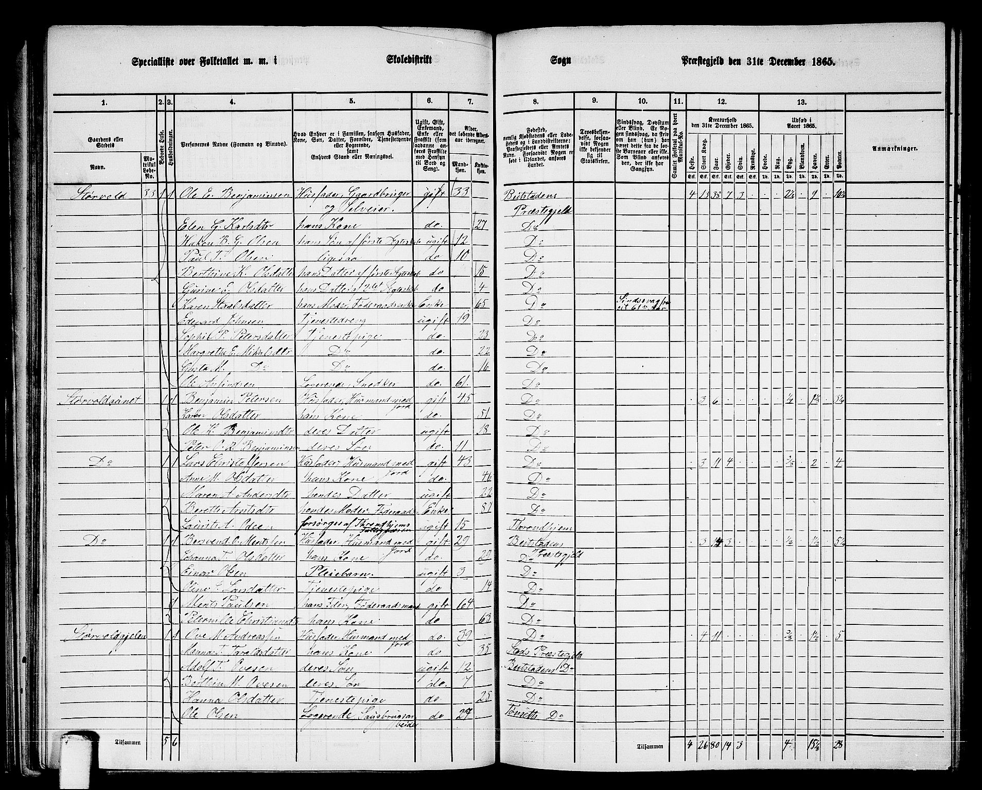 RA, 1865 census for Beitstad, 1865, p. 55