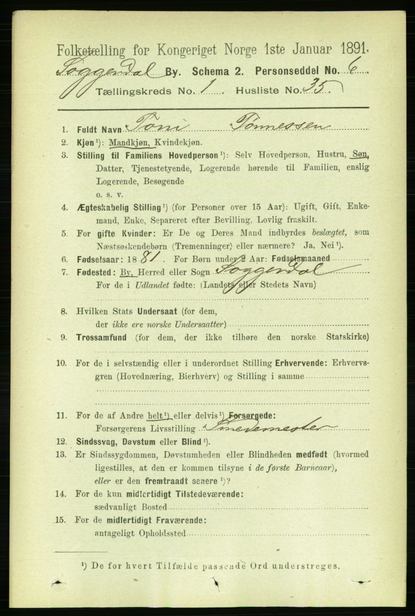RA, 1891 census for 1107 Sokndal, 1891, p. 200