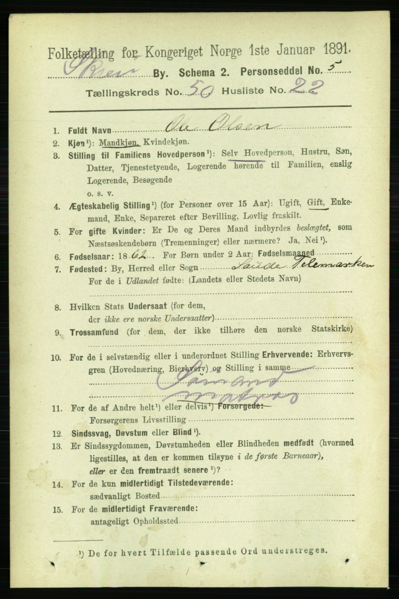 RA, 1891 census for 0806 Skien, 1891, p. 10989