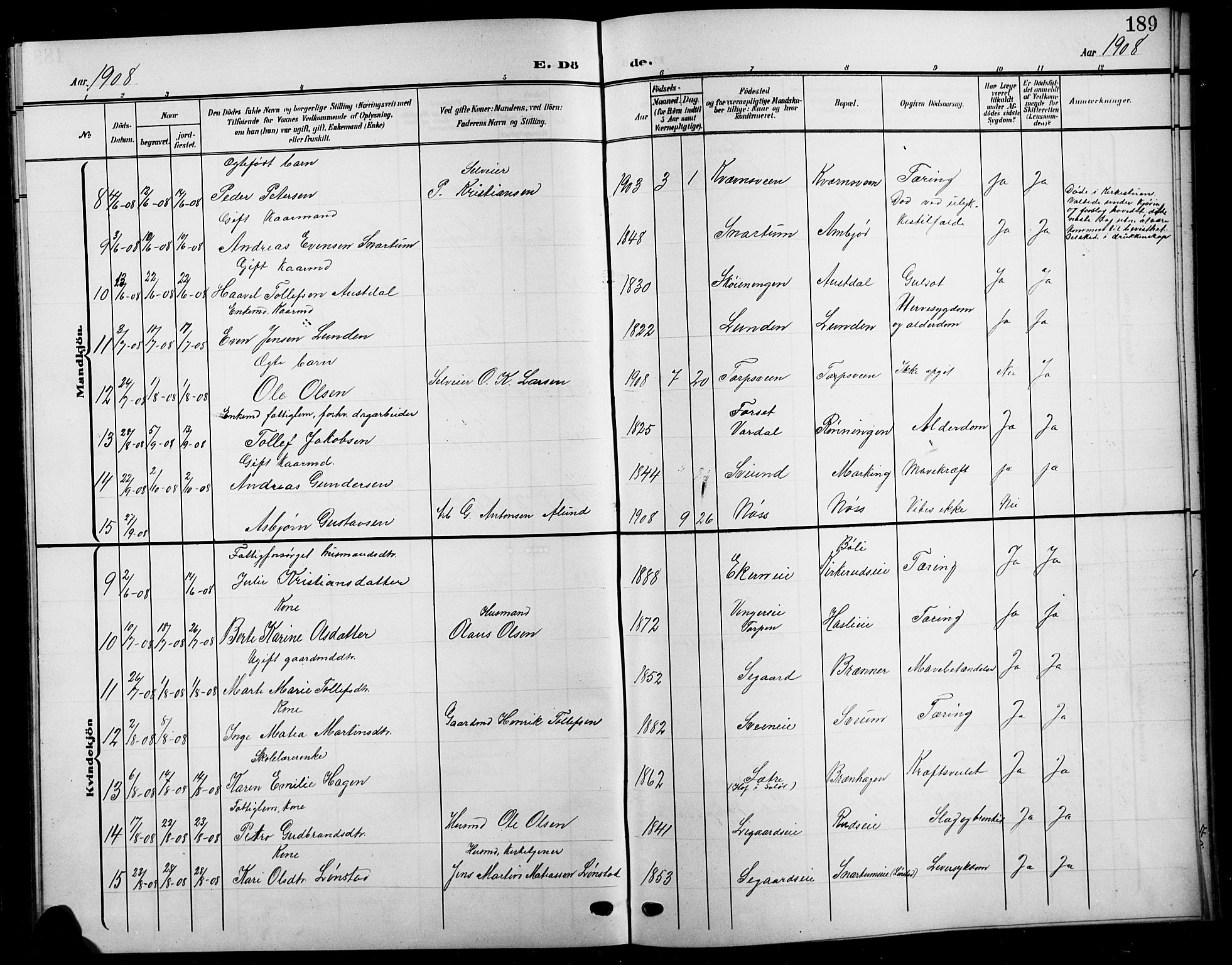Biri prestekontor, SAH/PREST-096/H/Ha/Hab/L0005: Parish register (copy) no. 5, 1906-1919, p. 189