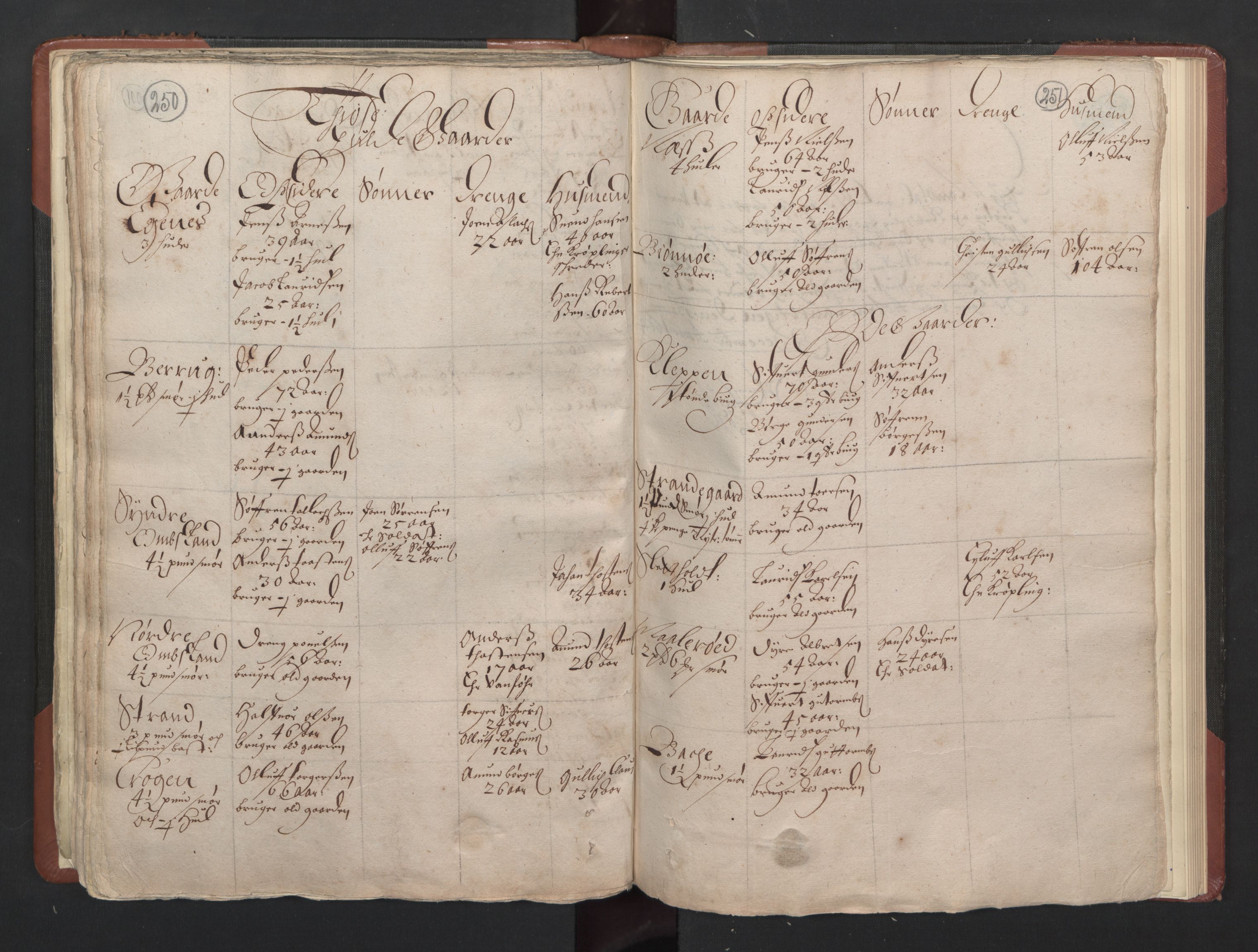 RA, Bailiff's Census 1664-1666, no. 5: Modern Buskerud county and modern Vestfold county, 1664, p. 250-251