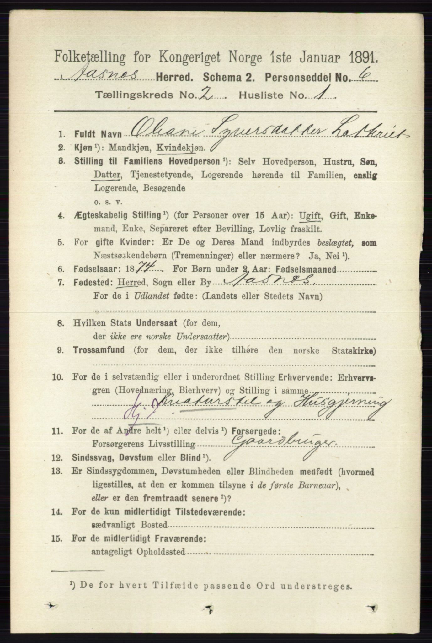 RA, 1891 census for 0425 Åsnes, 1891, p. 650