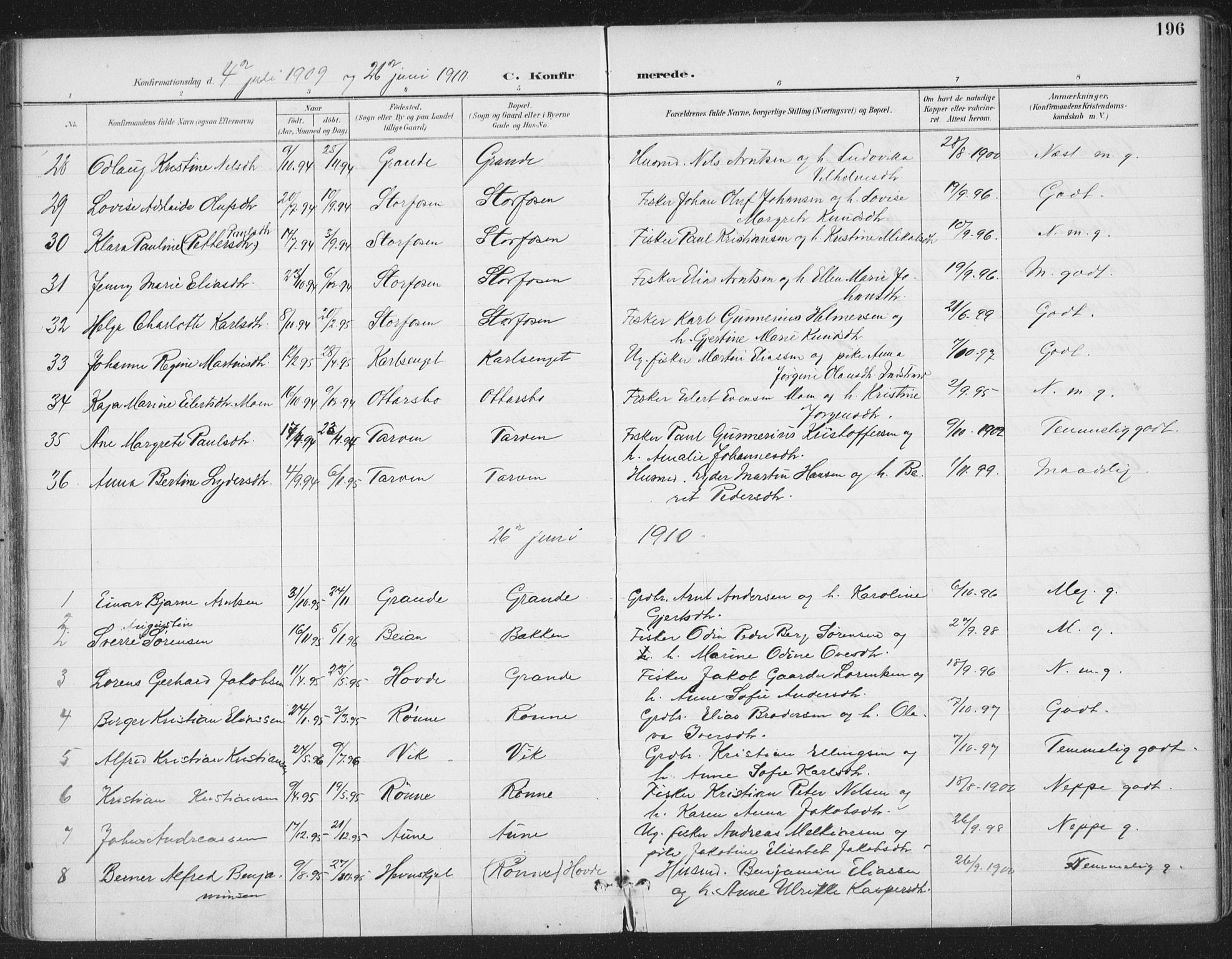 Ministerialprotokoller, klokkerbøker og fødselsregistre - Sør-Trøndelag, SAT/A-1456/659/L0743: Parish register (official) no. 659A13, 1893-1910, p. 196