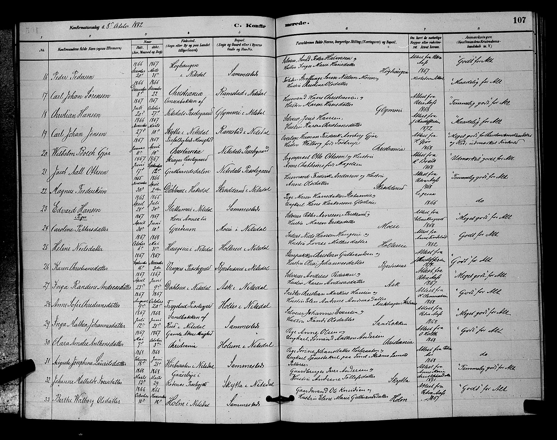 Nittedal prestekontor Kirkebøker, SAO/A-10365a/G/Ga/L0002: Parish register (copy) no. I 2, 1879-1901, p. 107