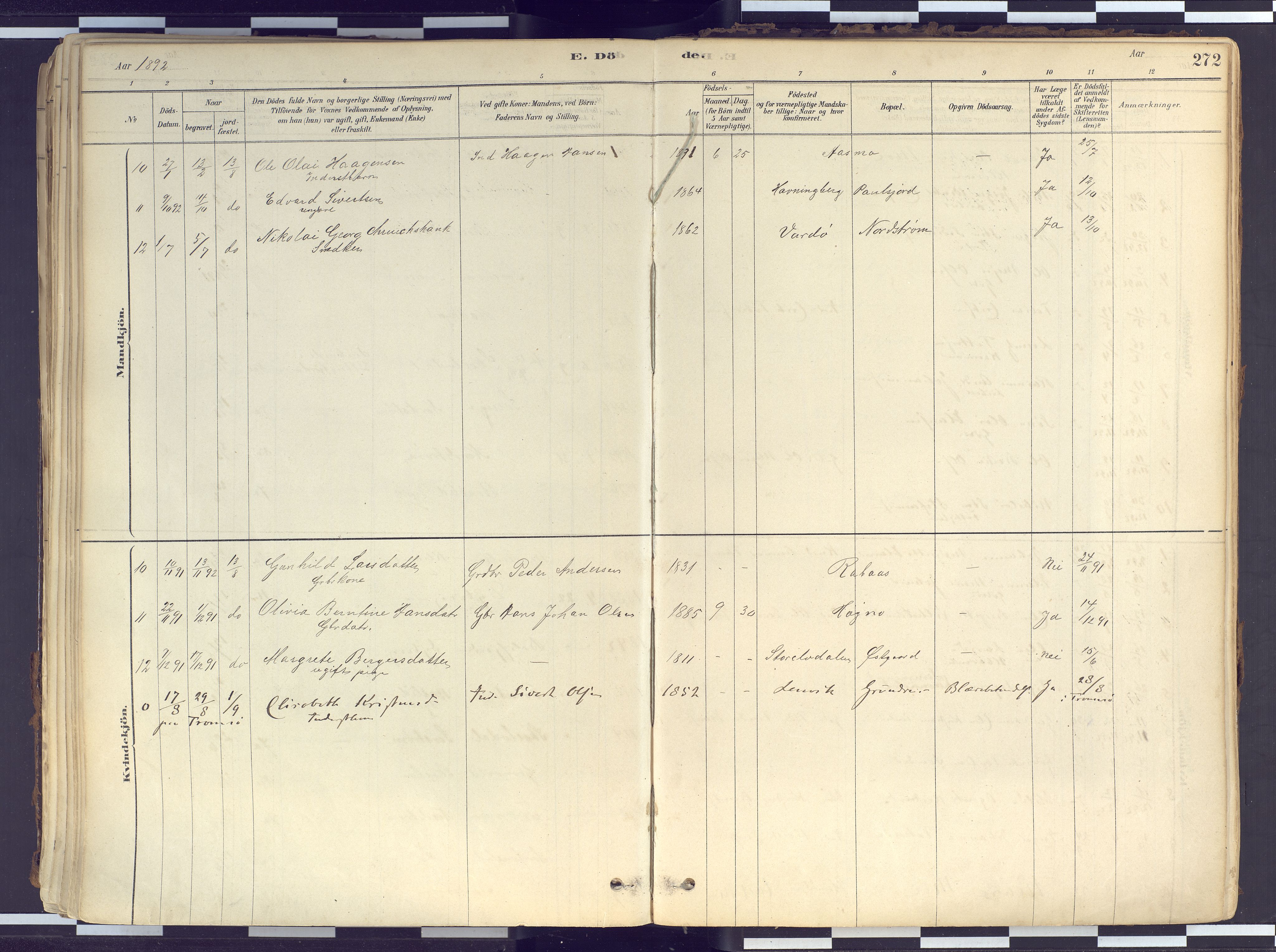 Tranøy sokneprestkontor, AV/SATØ-S-1313/I/Ia/Iaa/L0010kirke: Parish register (official) no. 10, 1878-1904, p. 272