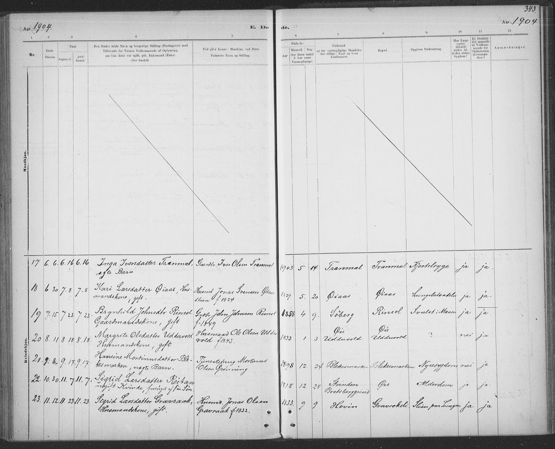 Ministerialprotokoller, klokkerbøker og fødselsregistre - Sør-Trøndelag, AV/SAT-A-1456/691/L1085: Parish register (official) no. 691A17, 1887-1908, p. 343