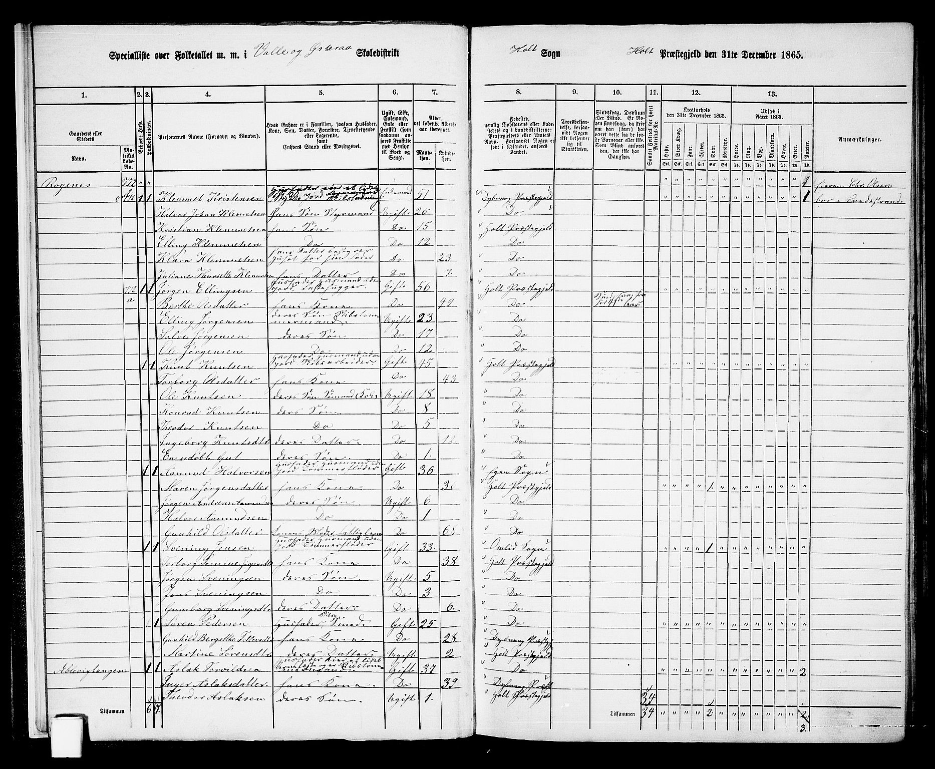 RA, 1865 census for Holt/Holt, 1865, p. 13