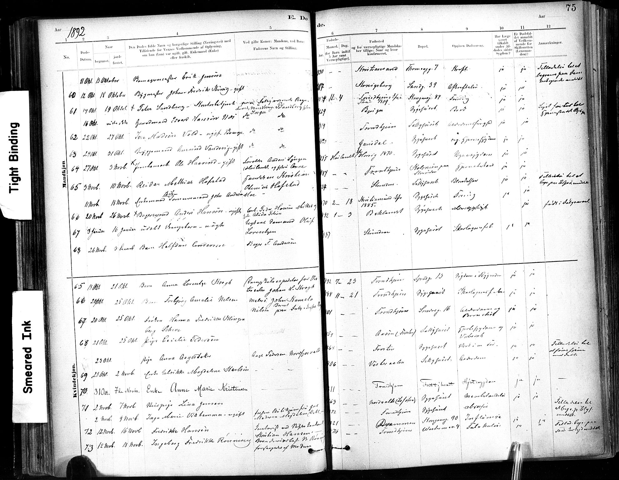 Ministerialprotokoller, klokkerbøker og fødselsregistre - Sør-Trøndelag, SAT/A-1456/602/L0120: Parish register (official) no. 602A18, 1880-1913, p. 75