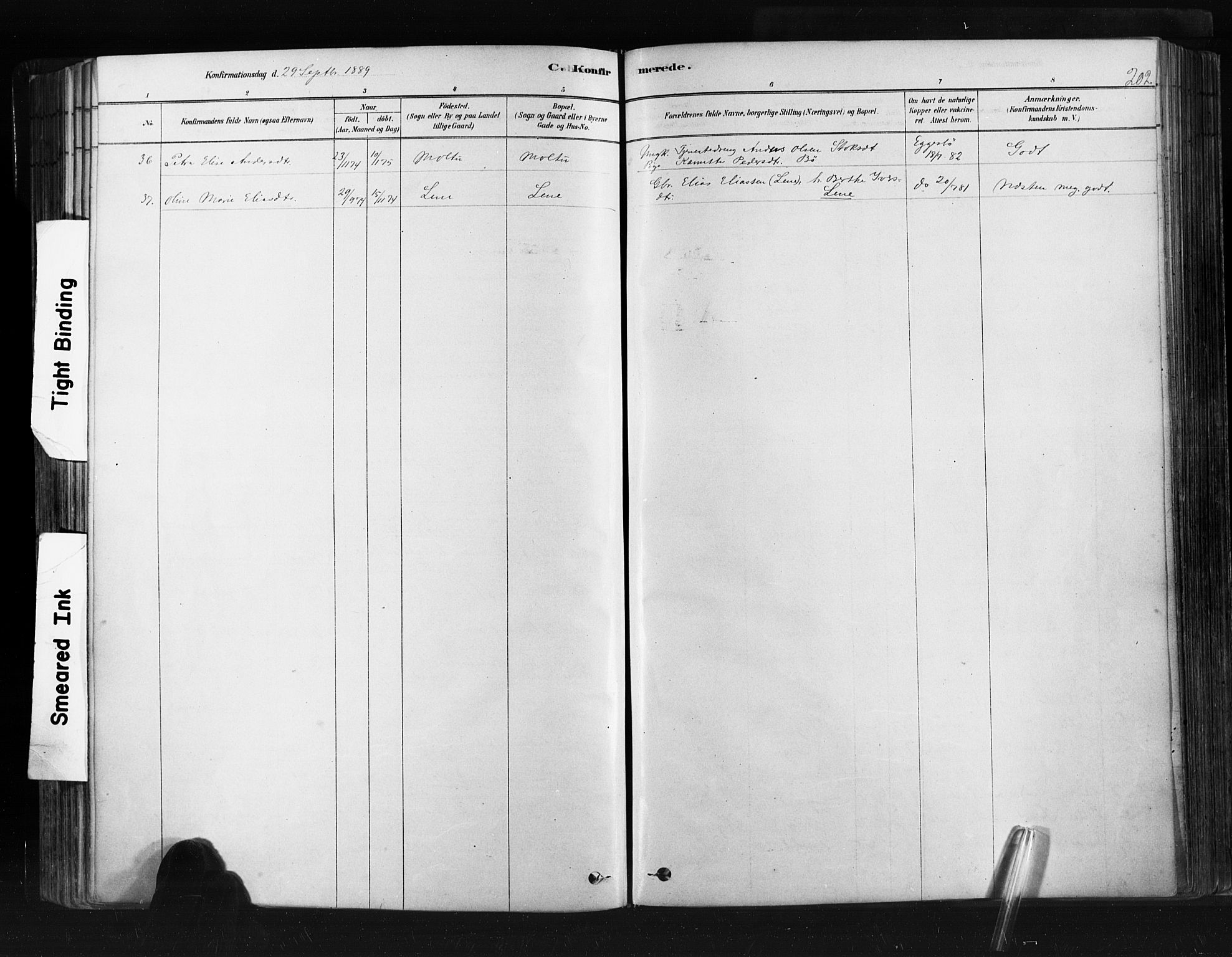 Ministerialprotokoller, klokkerbøker og fødselsregistre - Møre og Romsdal, AV/SAT-A-1454/507/L0073: Parish register (official) no. 507A08, 1878-1904, p. 202