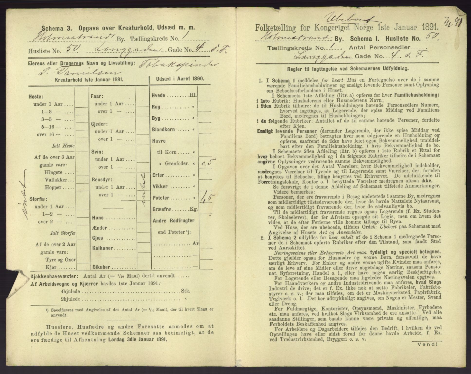 RA, 1891 census for 0702 Holmestrand, 1891, p. 116