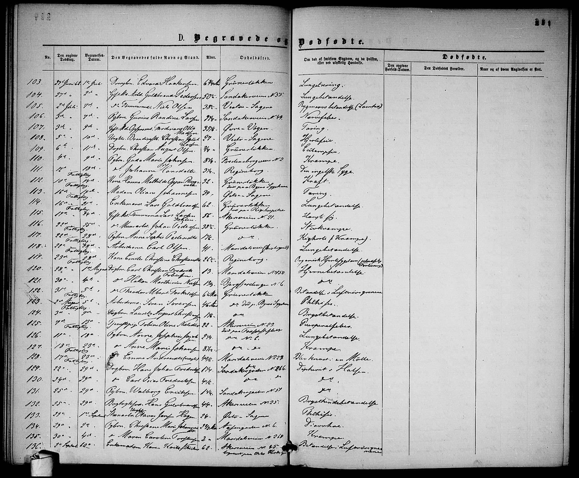 Gamle Aker prestekontor Kirkebøker, SAO/A-10617a/G/L0001: Parish register (copy) no. 1, 1861-1868, p. 251