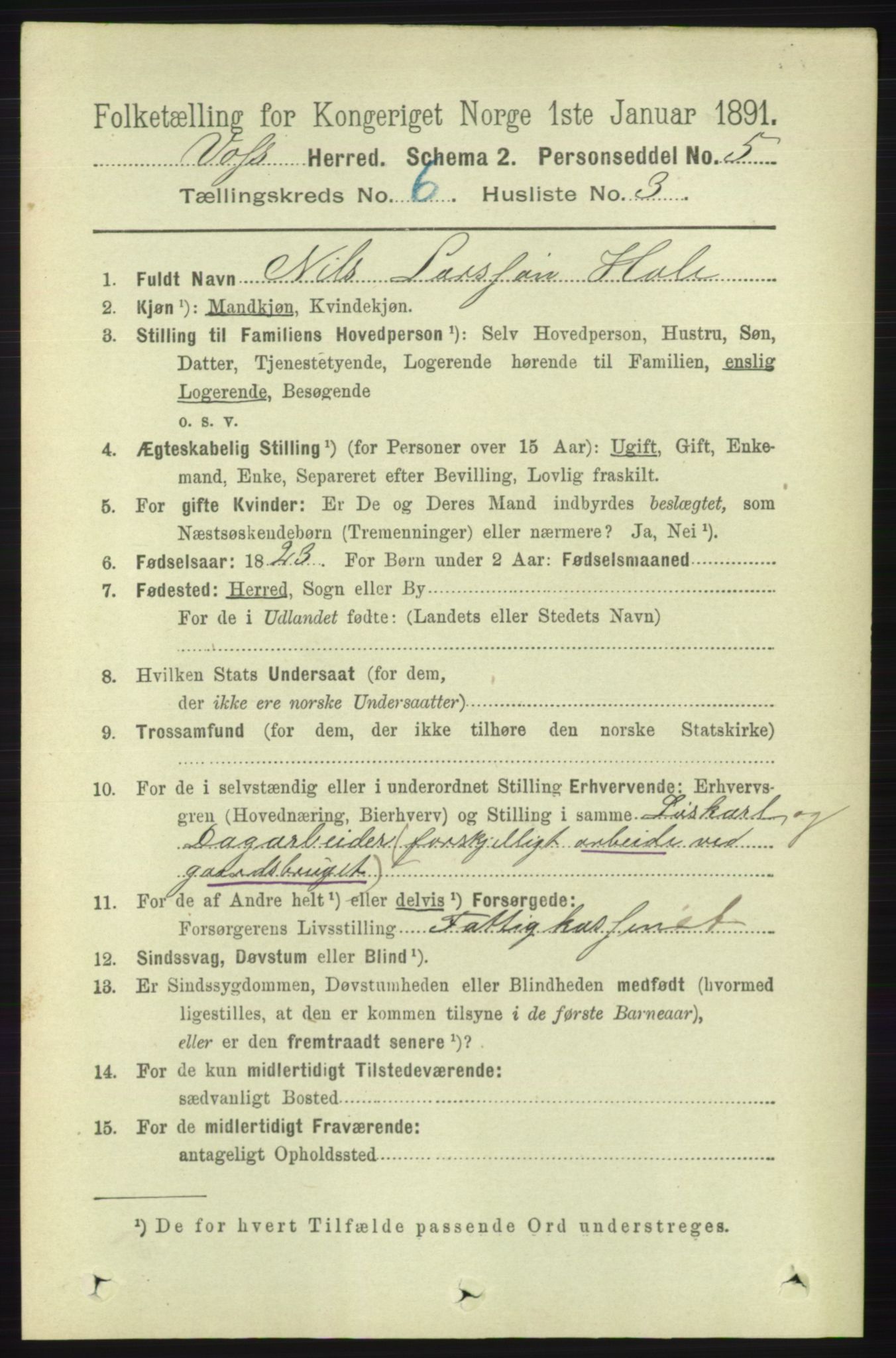 RA, 1891 census for 1235 Voss, 1891, p. 3304