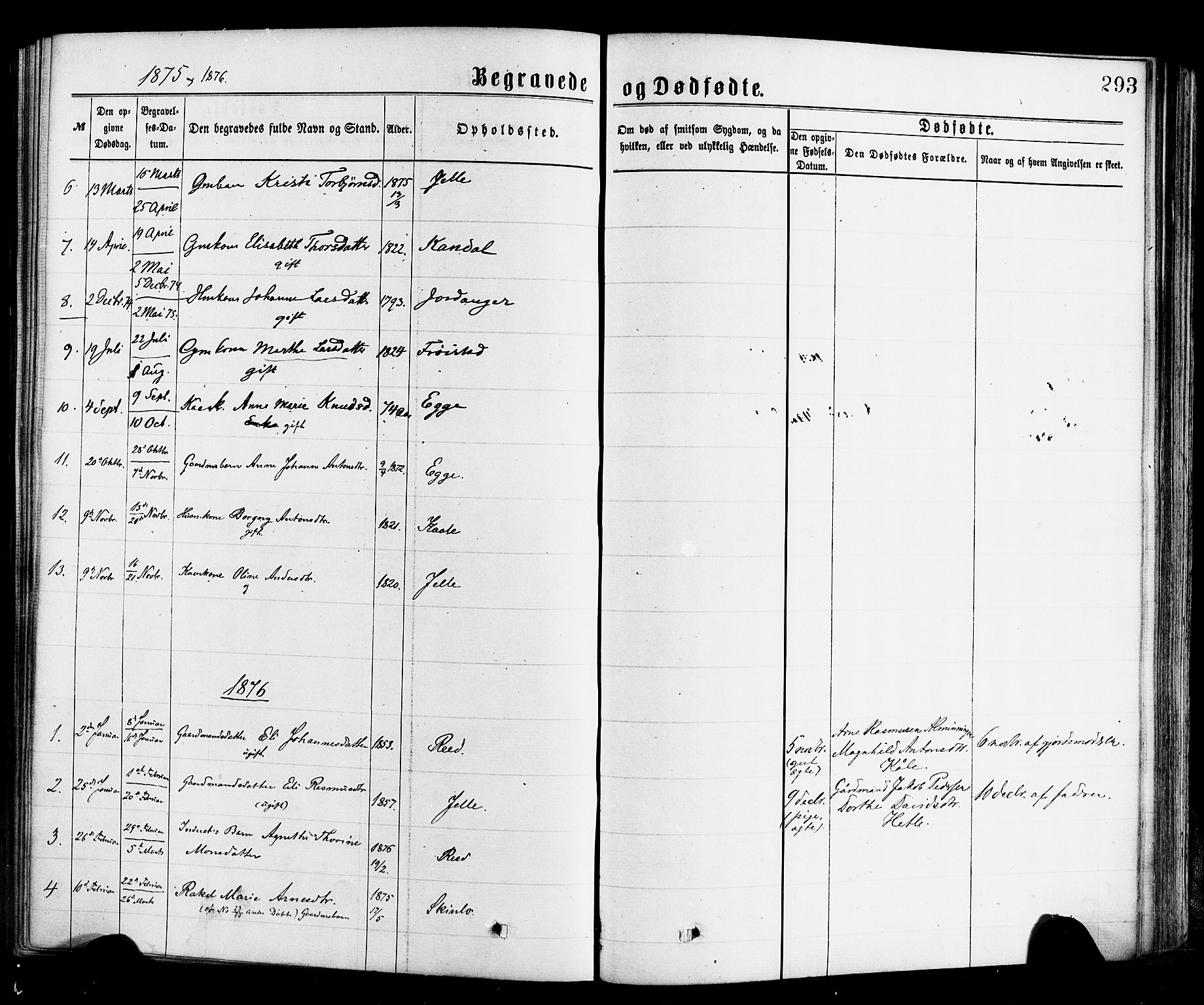 Gloppen sokneprestembete, AV/SAB-A-80101/H/Haa/Haac/L0001: Parish register (official) no. C 1, 1871-1886, p. 293