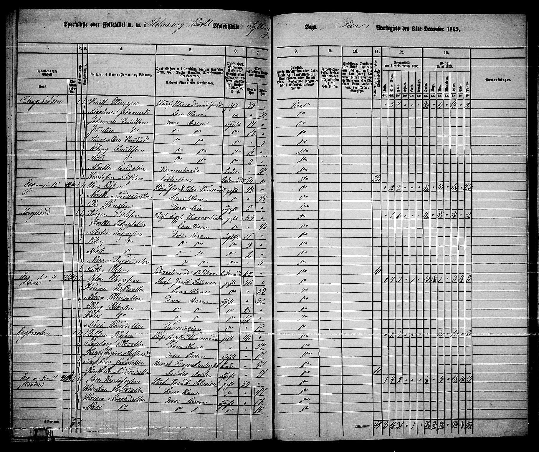 RA, 1865 census for Lier, 1865, p. 238