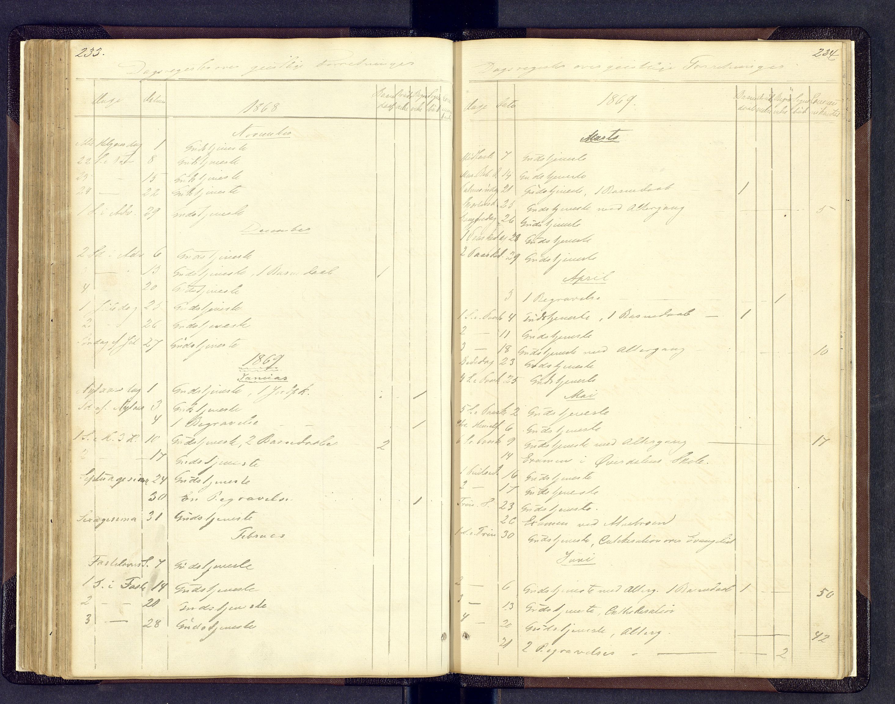 Sollia prestekontor, SAH/PREST-050/H/Ha/Hab/L0001: Parish register (copy) no. 1, 1862-1879, p. 233-234