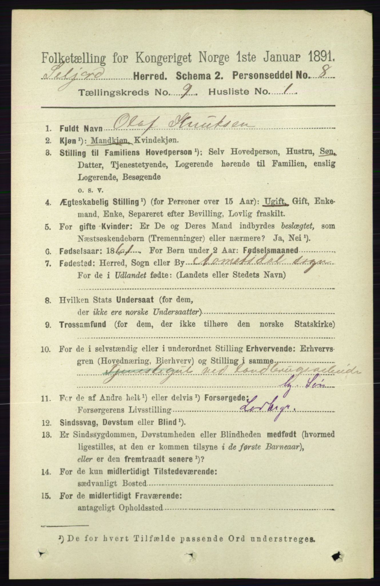 RA, 1891 census for 0828 Seljord, 1891, p. 3178