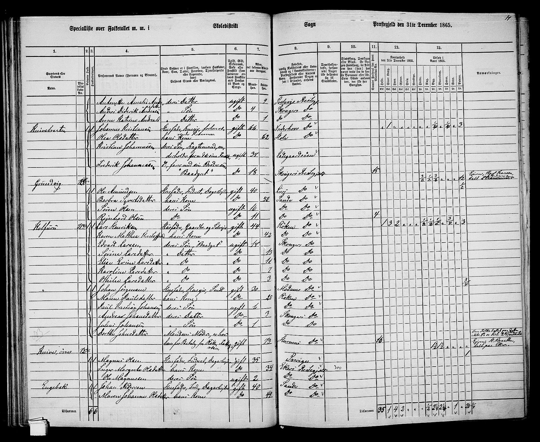 RA, 1865 census for Skoger, 1865, p. 57