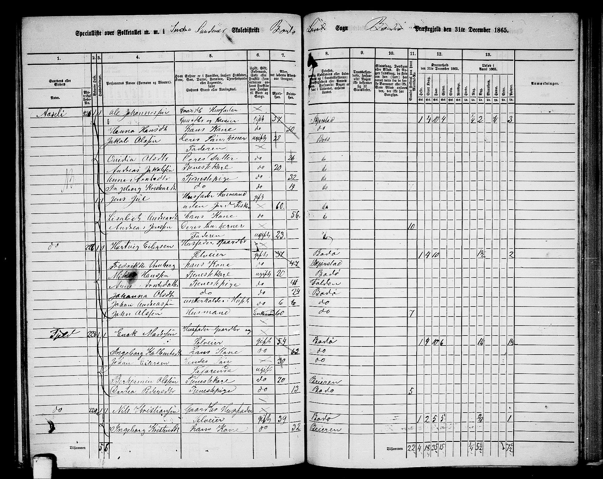 RA, 1865 census for Bodø/Bodø, 1865, p. 129