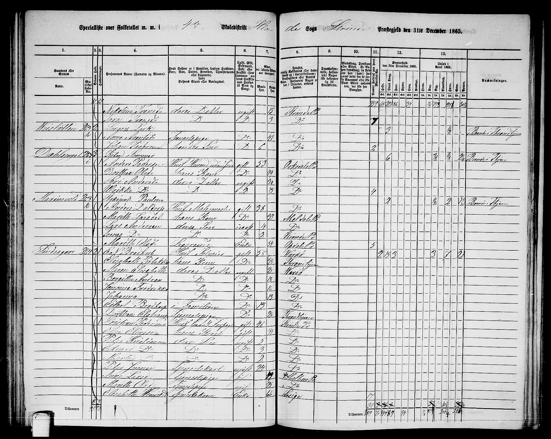 RA, 1865 census for Strinda, 1865, p. 117