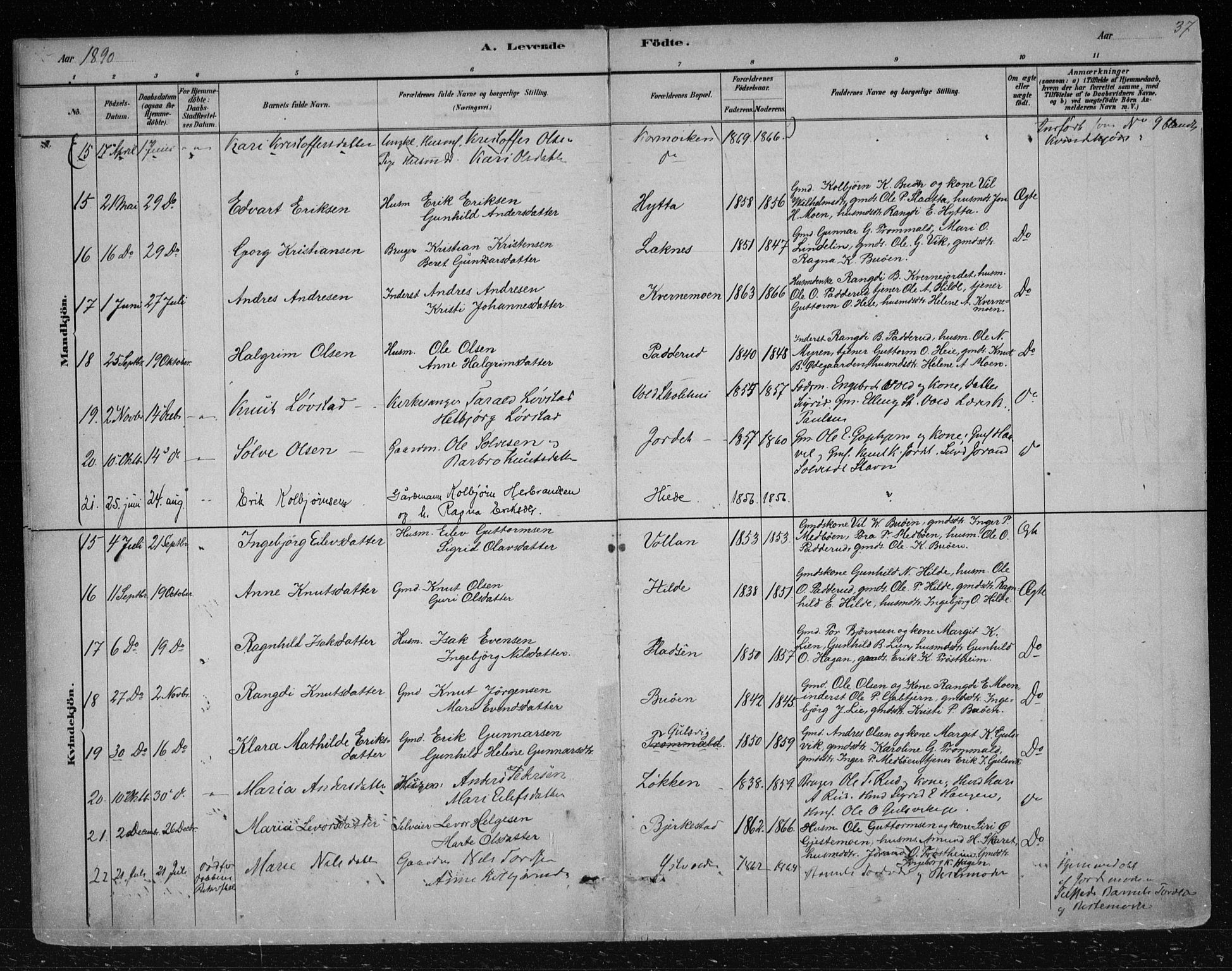 Nes kirkebøker, AV/SAKO-A-236/F/Fa/L0012: Parish register (official) no. 12, 1881-1917, p. 37