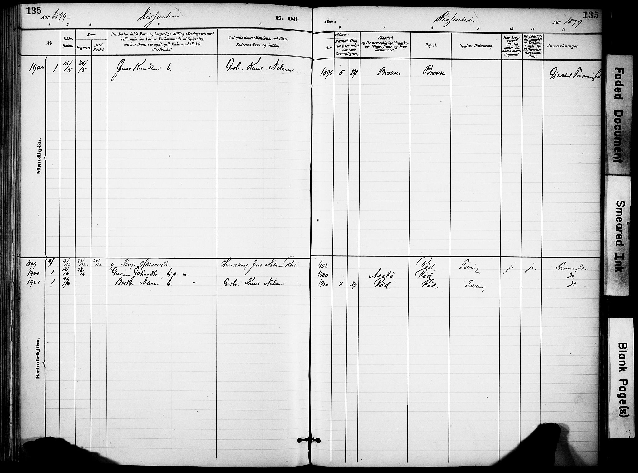 Gjerstad sokneprestkontor, SAK/1111-0014/F/Fa/Faa/L0010: Parish register (official) no. A 10, 1891-1902, p. 132