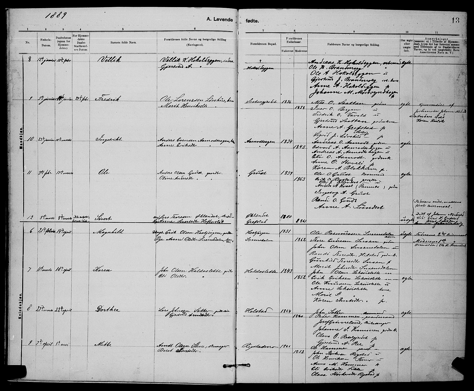Ministerialprotokoller, klokkerbøker og fødselsregistre - Sør-Trøndelag, SAT/A-1456/672/L0863: Parish register (copy) no. 672C02, 1888-1901, p. 13