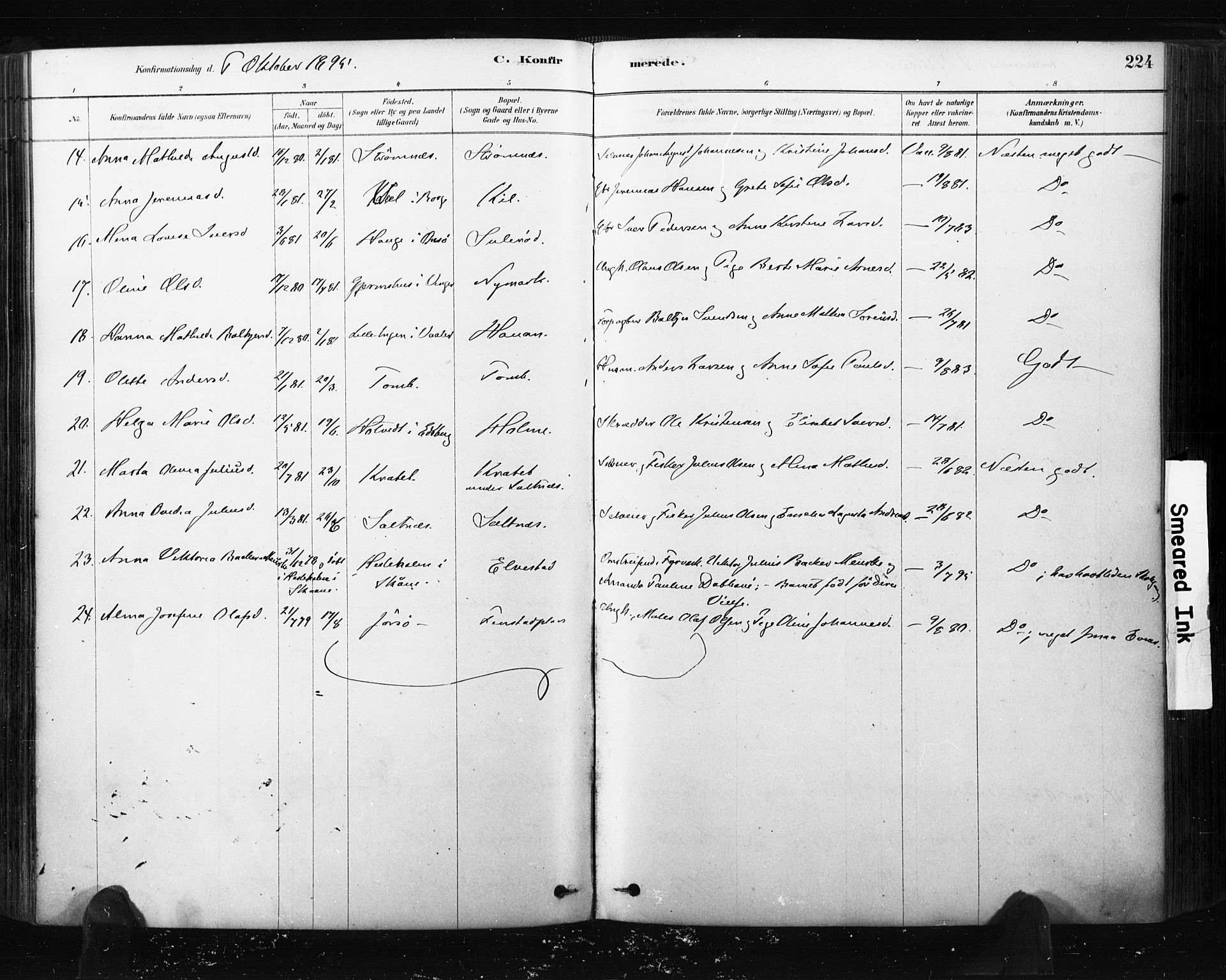 Råde prestekontor kirkebøker, AV/SAO-A-2009/F/Fa/L0007: Parish register (official) no. 7, 1878-1902, p. 224