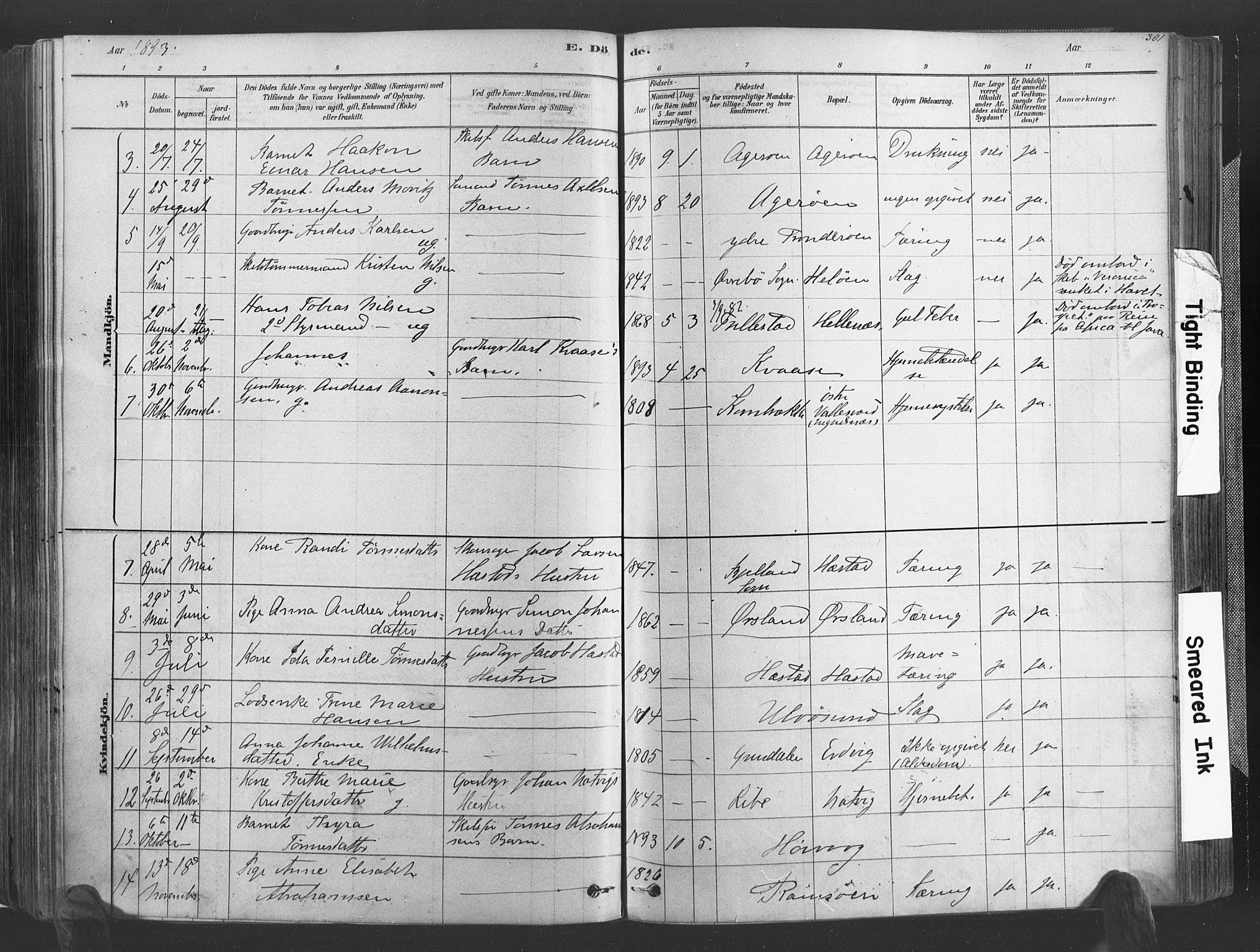 Høvåg sokneprestkontor, SAK/1111-0025/F/Fa/L0005: Parish register (official) no. A 5, 1878-1893, p. 301