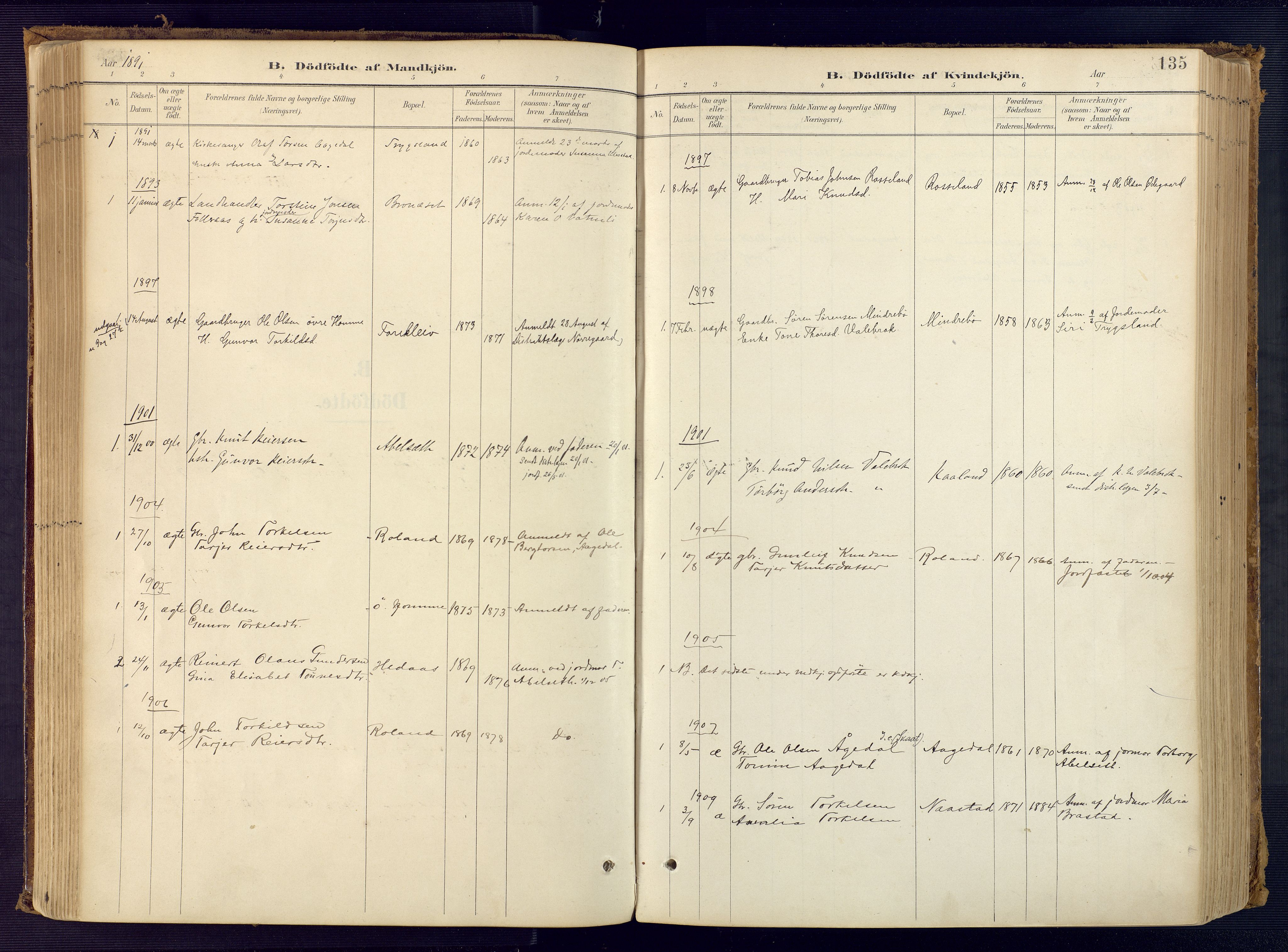 Bjelland sokneprestkontor, SAK/1111-0005/F/Fa/Faa/L0004: Parish register (official) no. A 4, 1887-1923, p. 135
