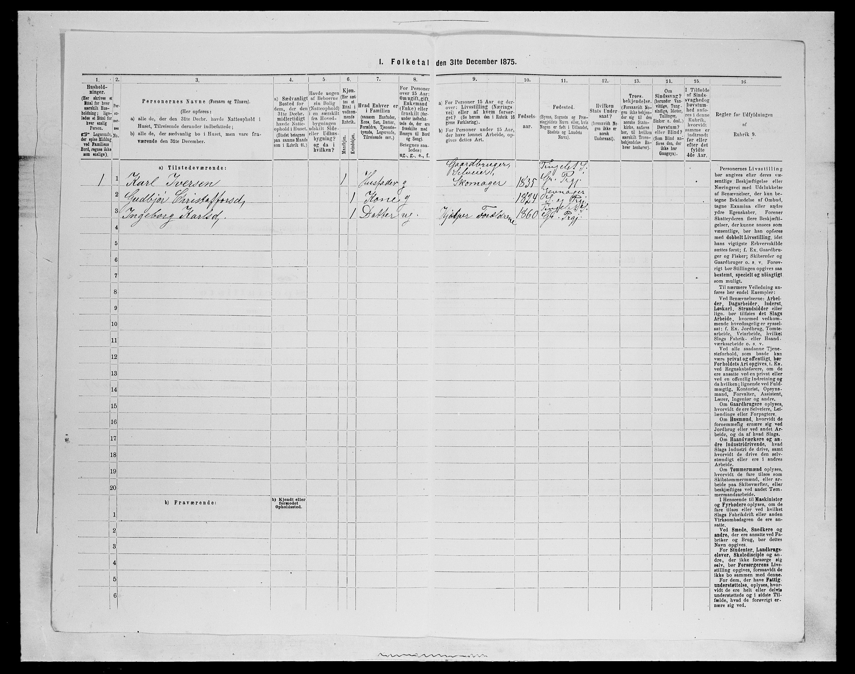 SAH, 1875 census for 0534P Gran, 1875, p. 1110