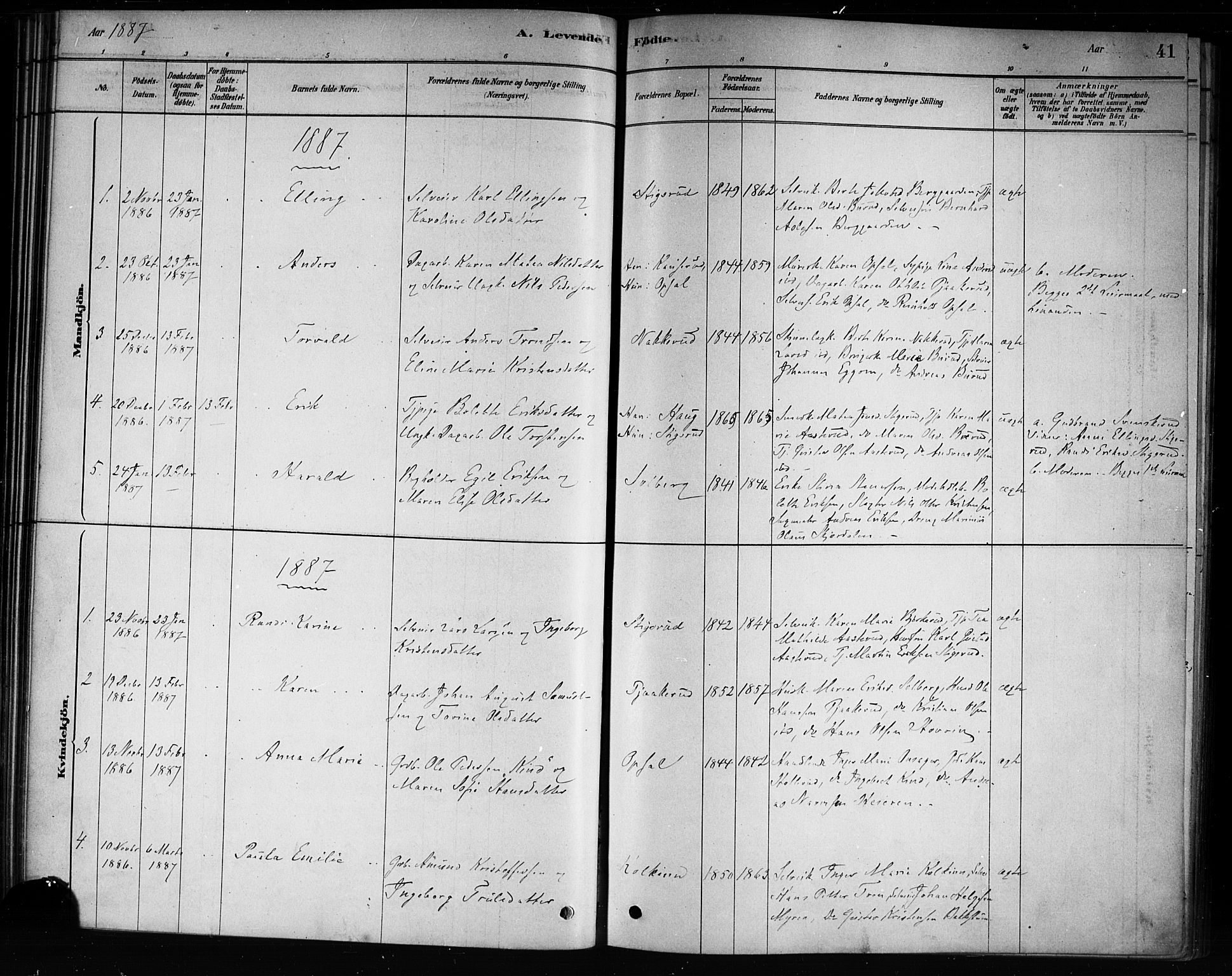 Hole kirkebøker, SAKO/A-228/F/Fb/L0001: Parish register (official) no. II 1, 1878-1891, p. 41
