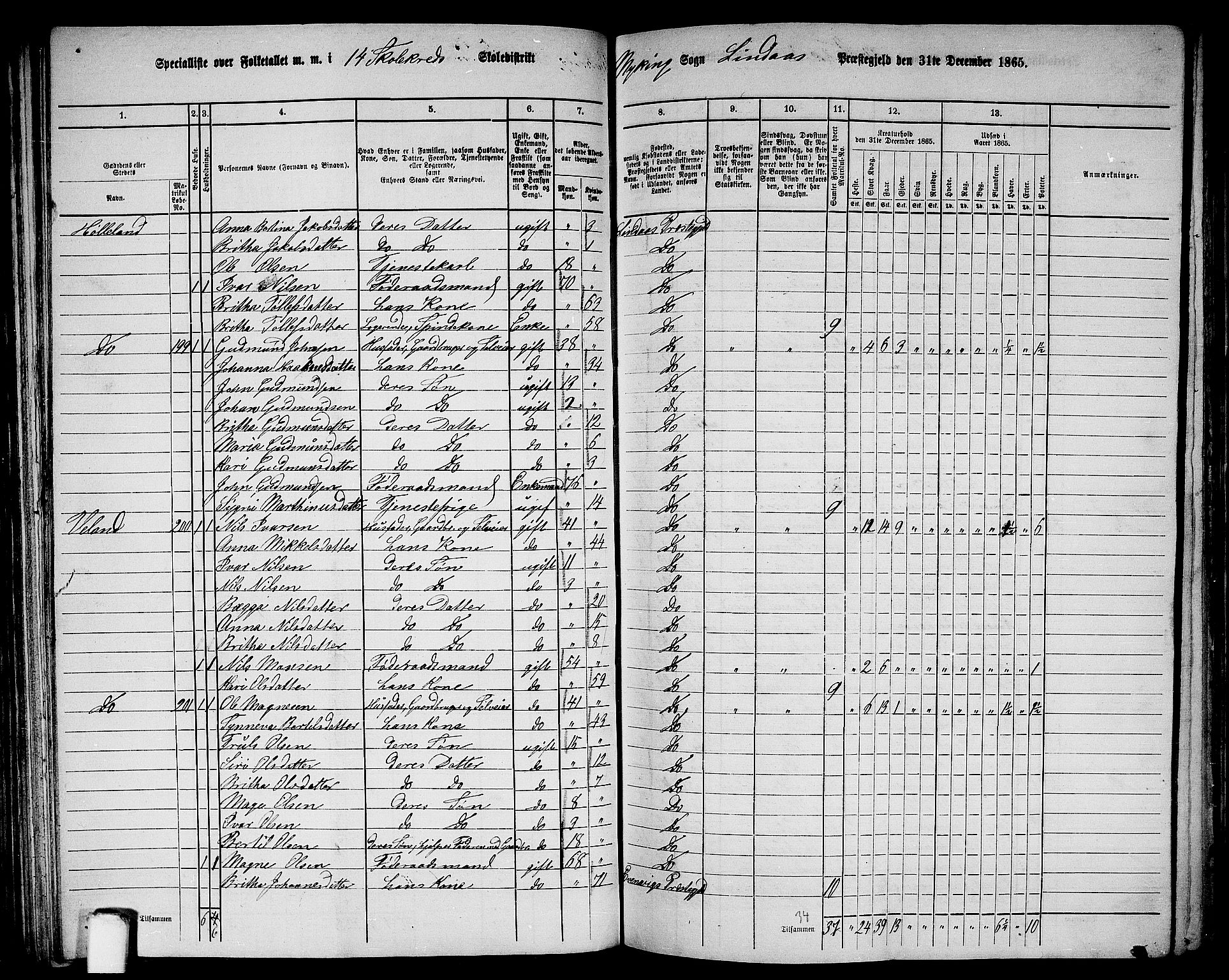 RA, 1865 census for Lindås, 1865, p. 104