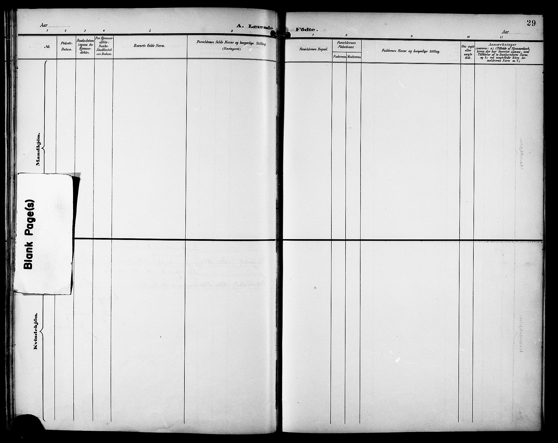 Ministerialprotokoller, klokkerbøker og fødselsregistre - Nordland, AV/SAT-A-1459/810/L0152: Parish register (official) no. 810A11, 1895-1899, p. 29