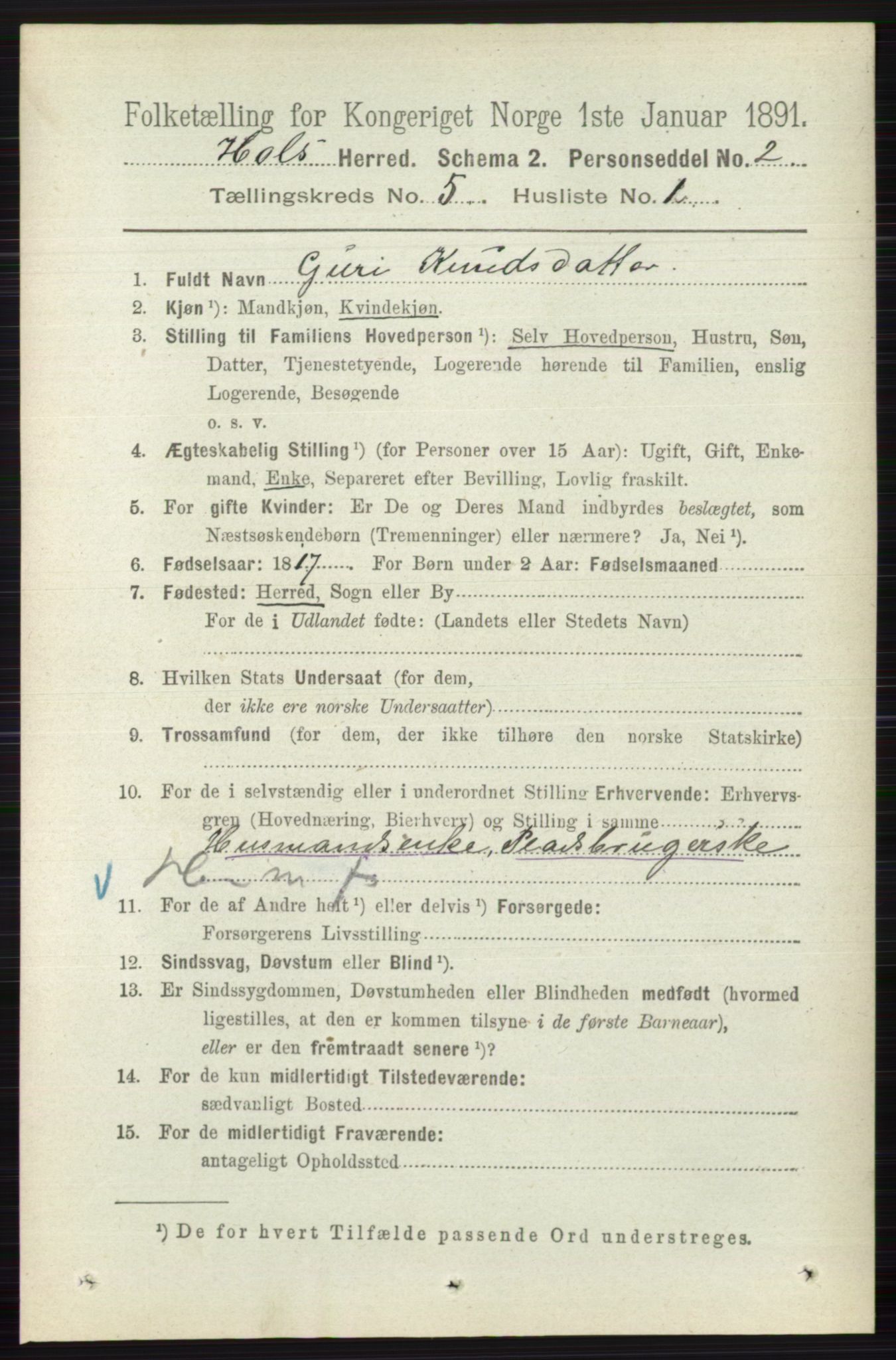 RA, 1891 census for 0620 Hol, 1891, p. 1466