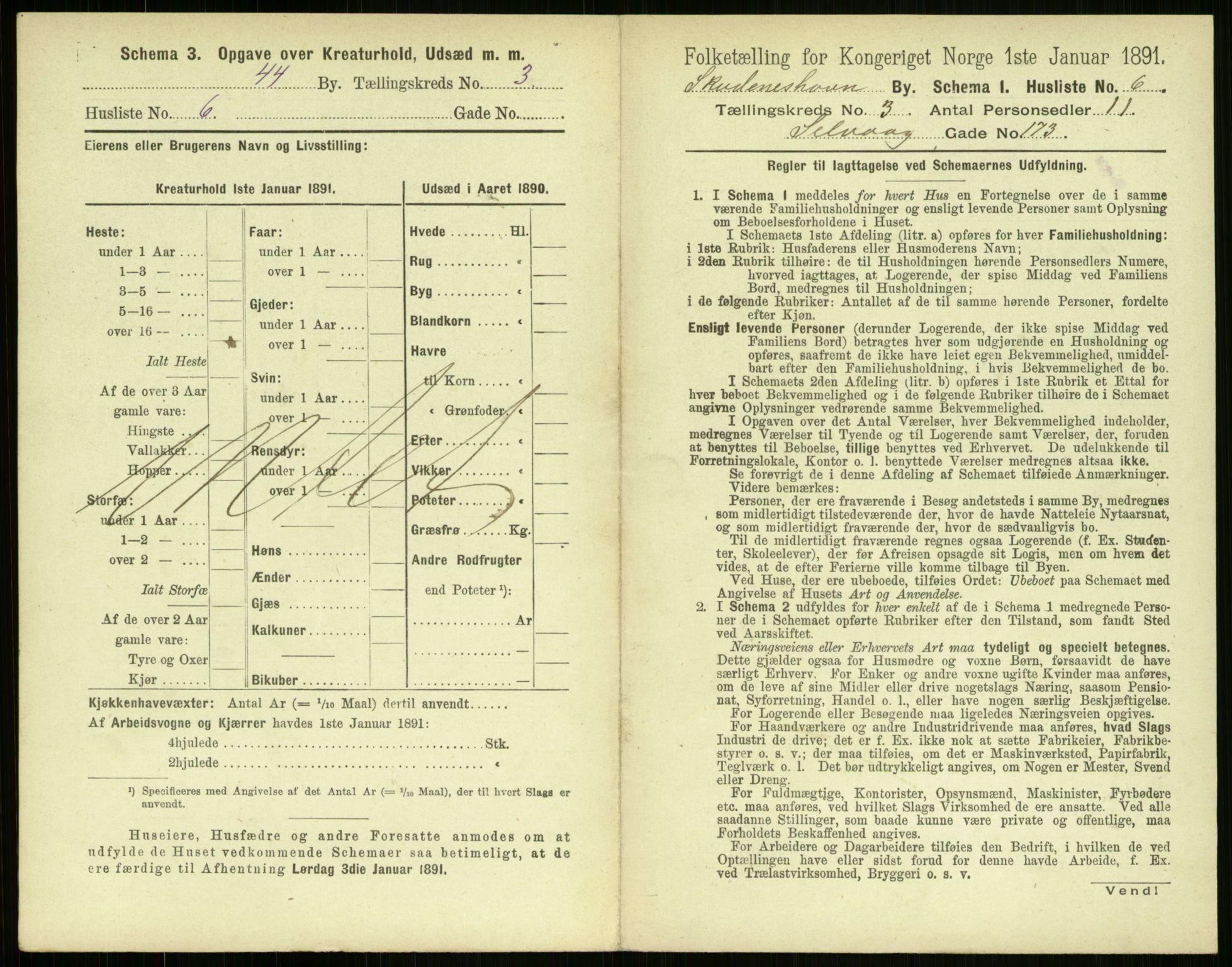 RA, 1891 census for 1104 Skudeneshavn, 1891, p. 202