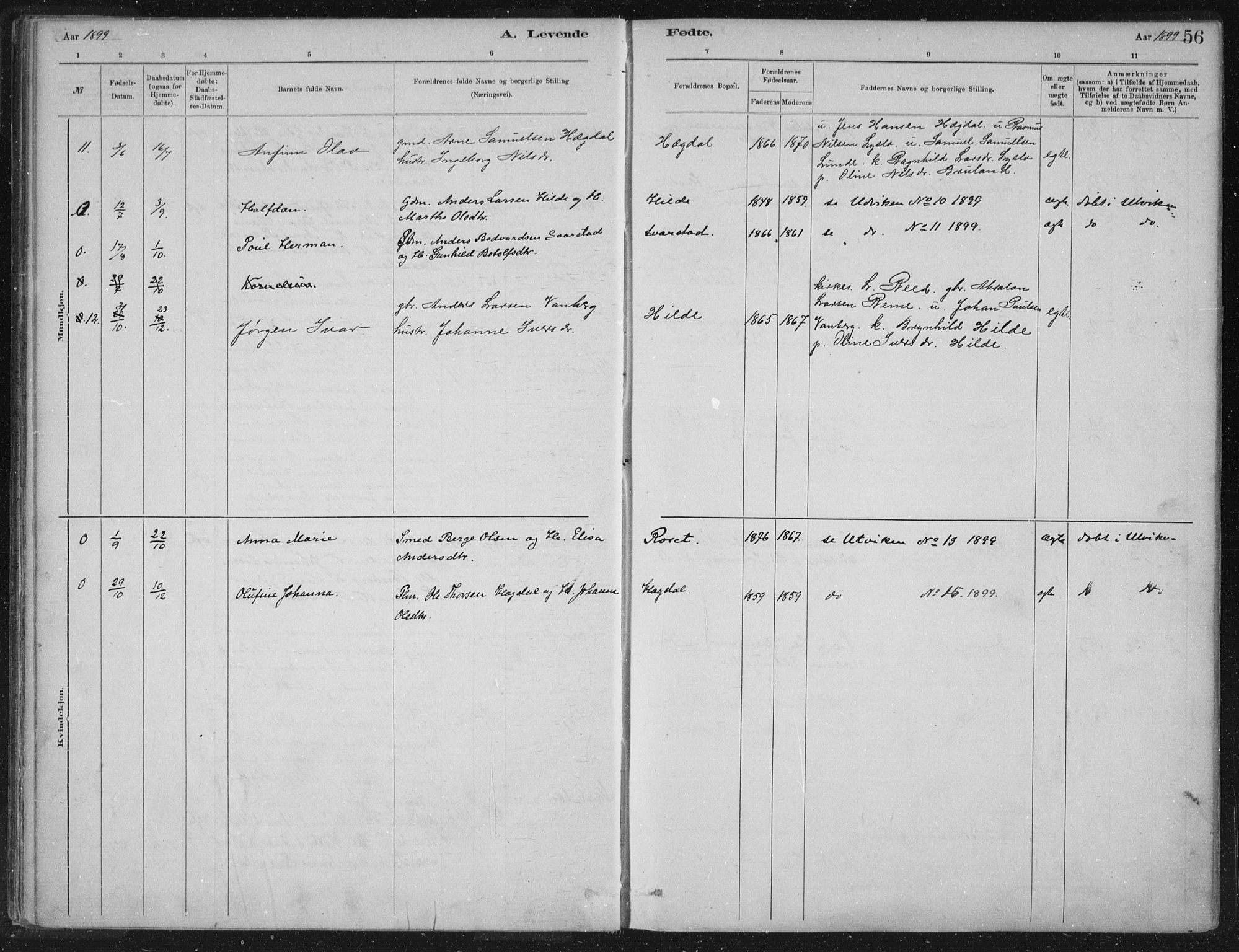 Innvik sokneprestembete, AV/SAB-A-80501: Parish register (official) no. B  1, 1879-1902, p. 56