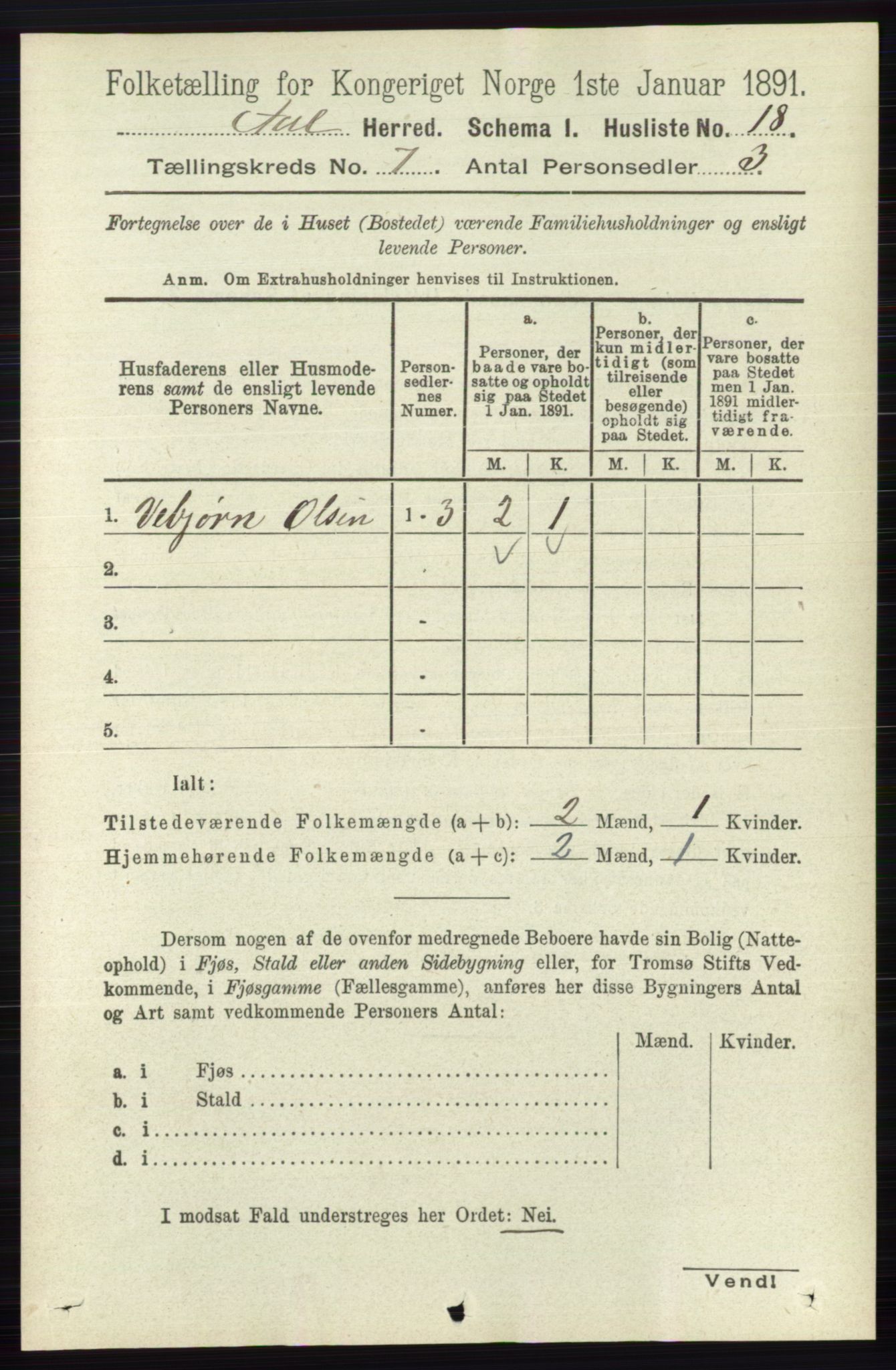 RA, 1891 census for 0619 Ål, 1891, p. 1799
