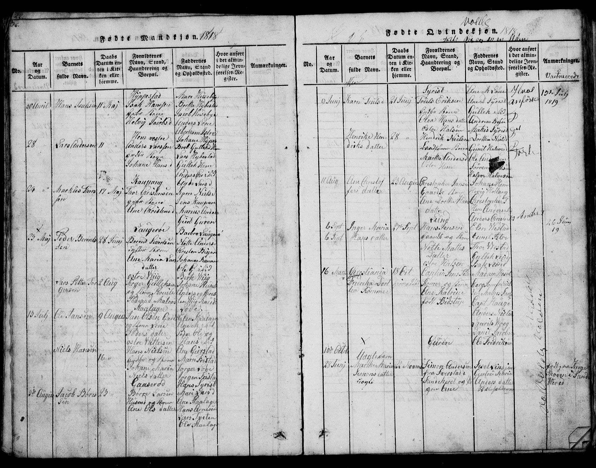 Tjølling kirkebøker, SAKO/A-60/G/Ga/L0001: Parish register (copy) no. 1, 1814-1835, p. 36