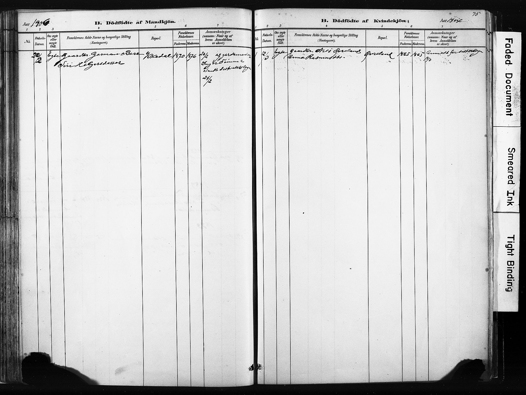 Vikedal sokneprestkontor, AV/SAST-A-101840/01/IV: Parish register (official) no. A 10, 1884-1907, p. 75