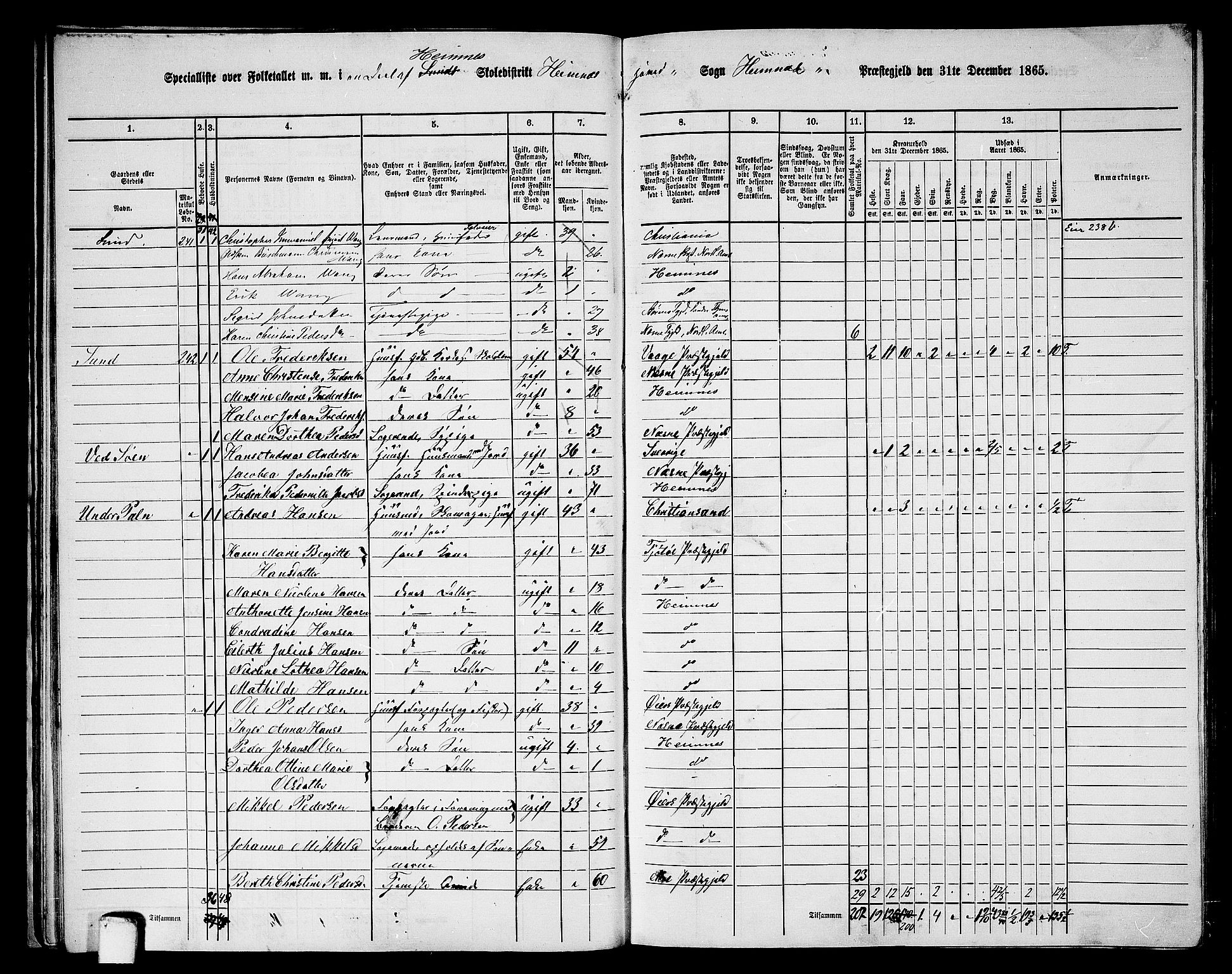 RA, 1865 census for Hemnes, 1865, p. 41